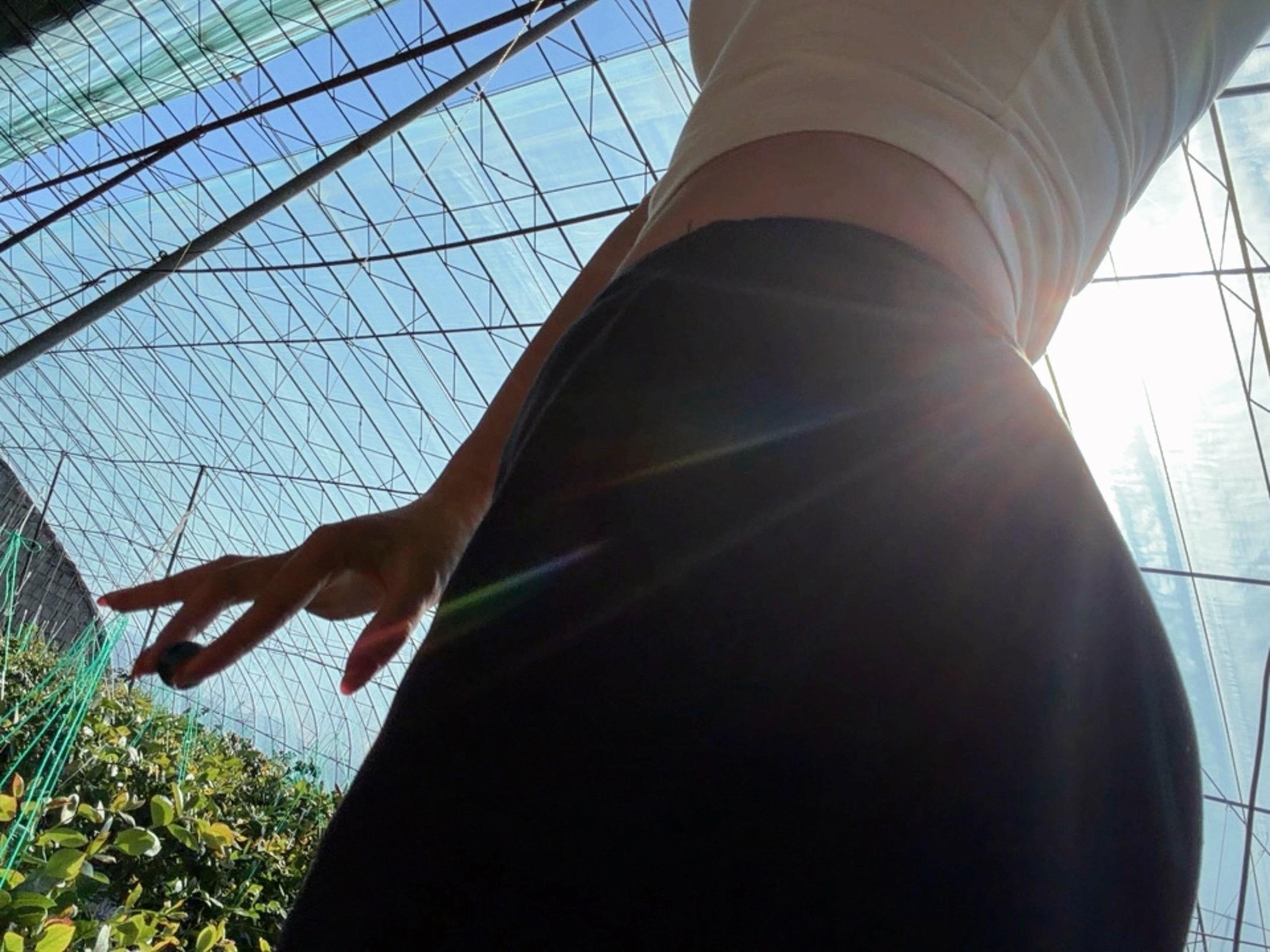 我猜你更想吃我手里的这颗蓝莓