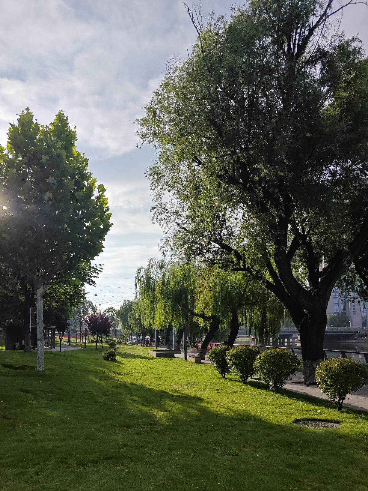 因为夏天的早晨，空气清新，暑气未上，可以有效地避开高温和强光。
‌冬季的时节，一