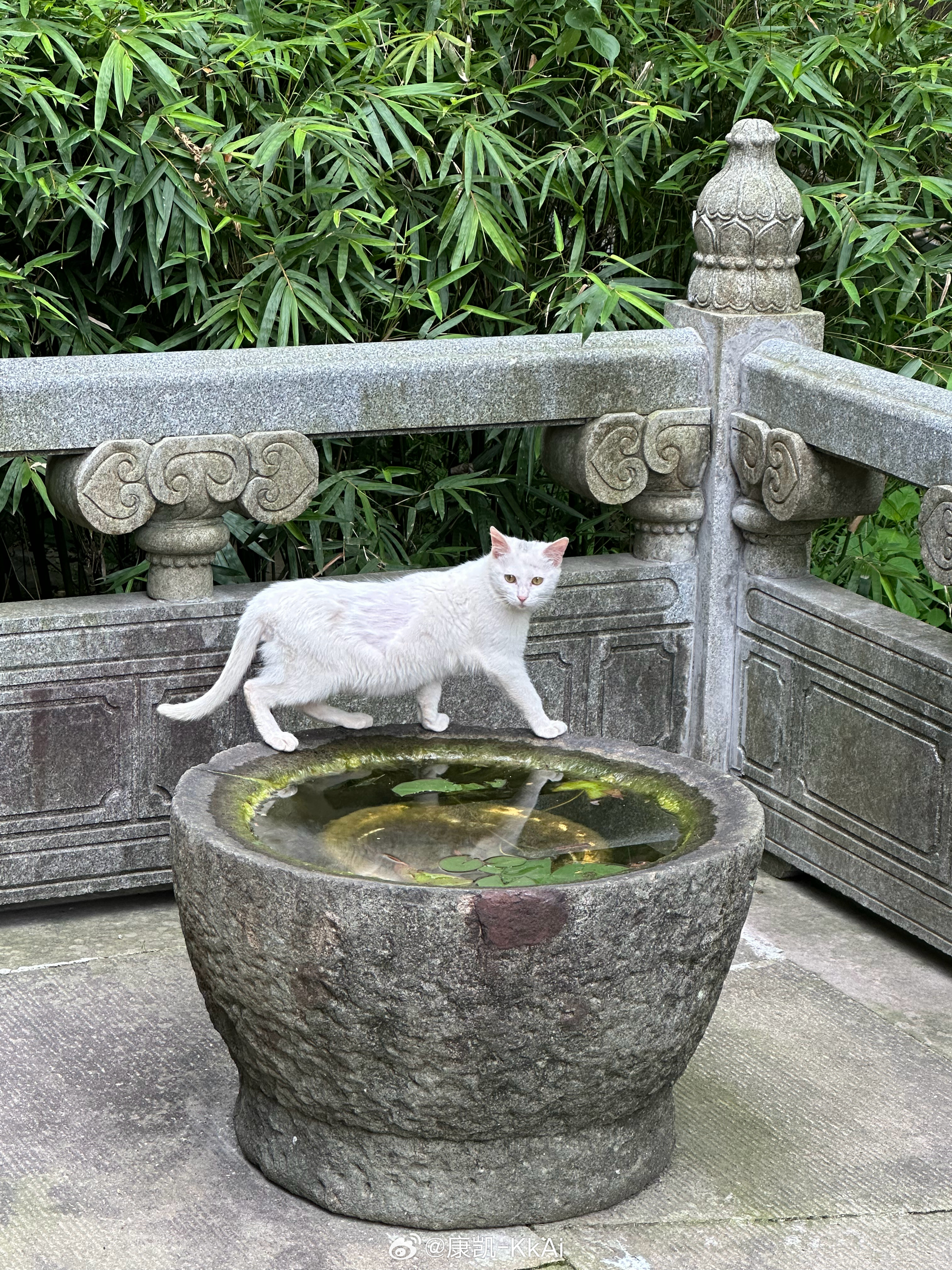 山隐古寺，风渡禅钟，所求皆如愿，所行皆坦途。灵隐寺 杭州·灵隐寺