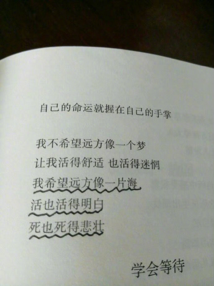 “  你的好运气藏在你的实力里   也藏在你不为人知的努力里”  