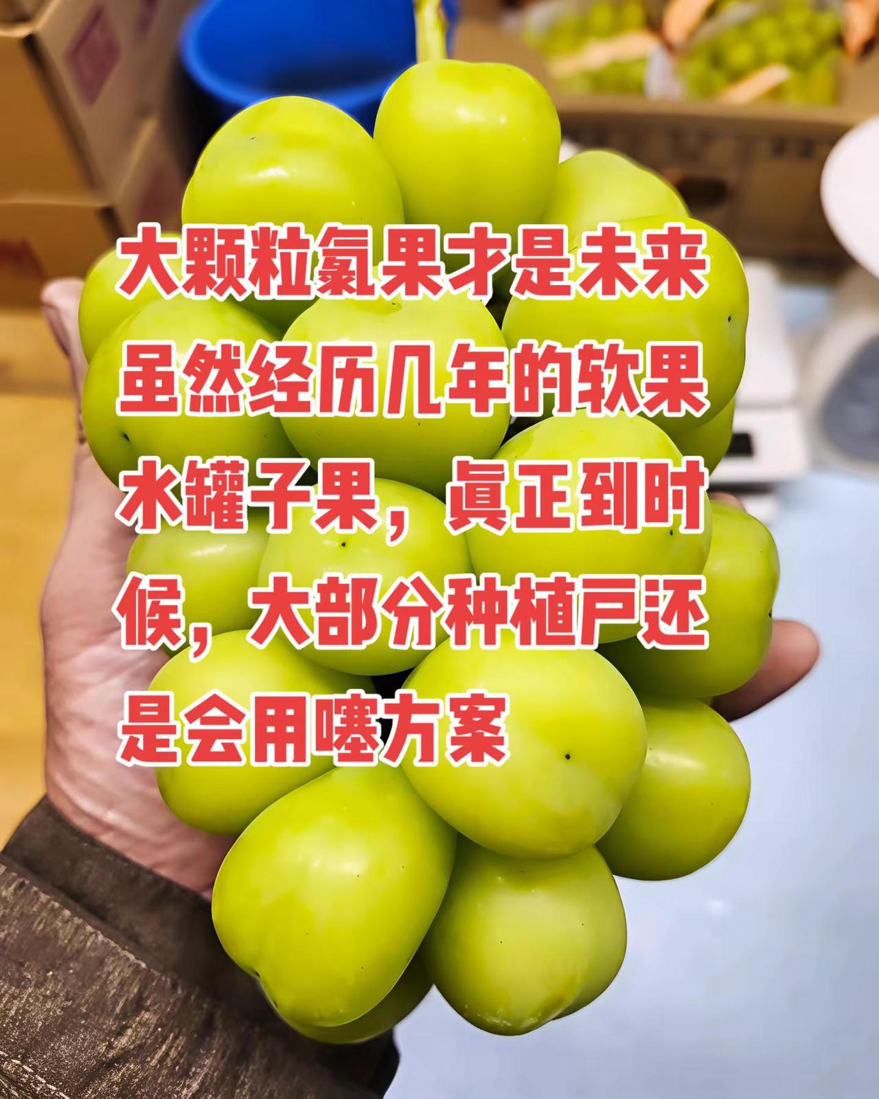 “我们从历史中得到的唯一教训，就是我们从来不会吸取教训。”高品质葡萄 氯比脲