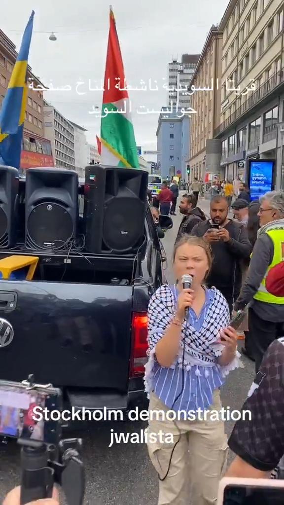 当格蕾塔·桑伯格（Greta Thunberg）抗议气候变化时，她几乎占据了各大