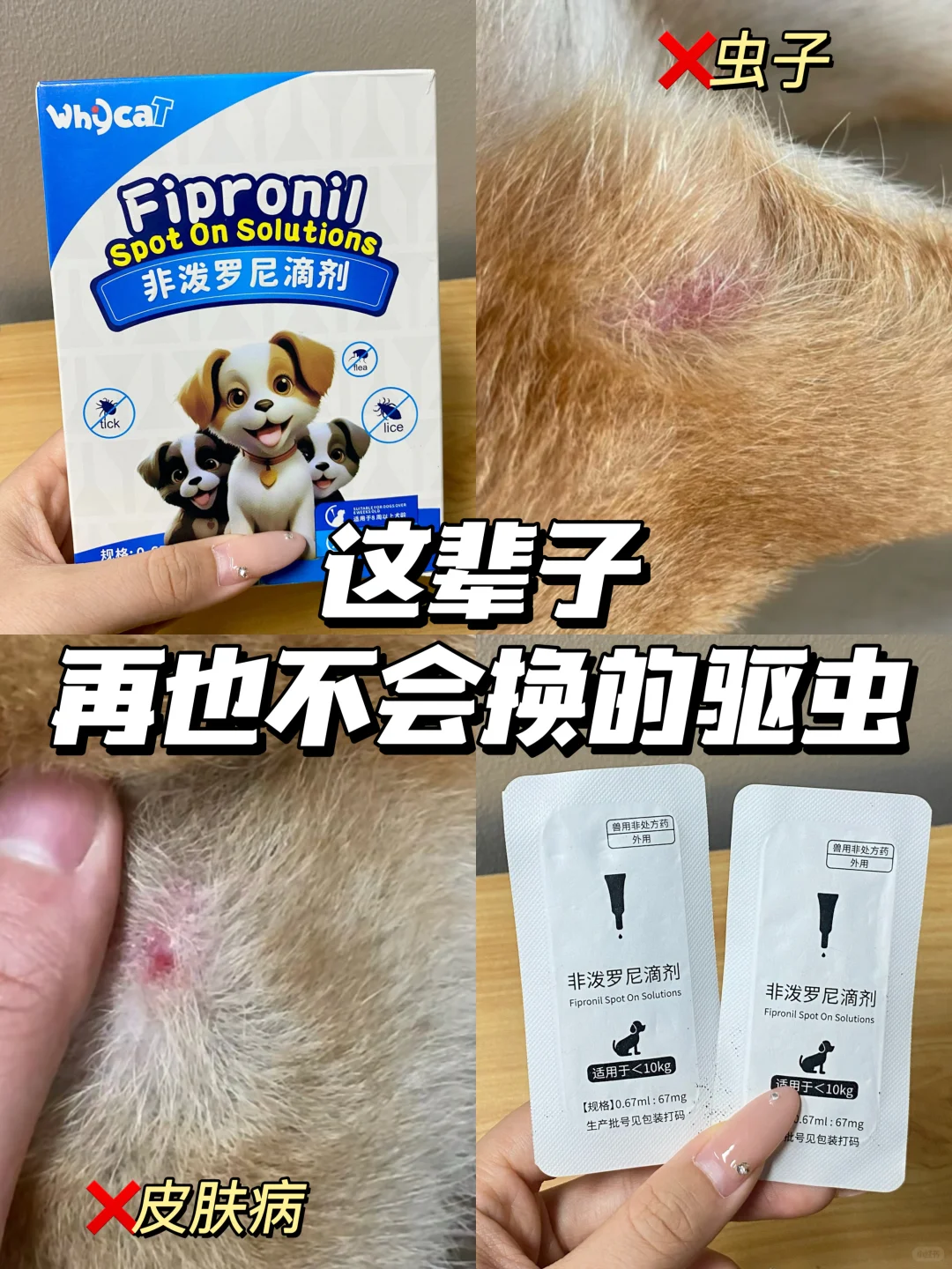 狗狗被虫感染的进！一定要囤这个！