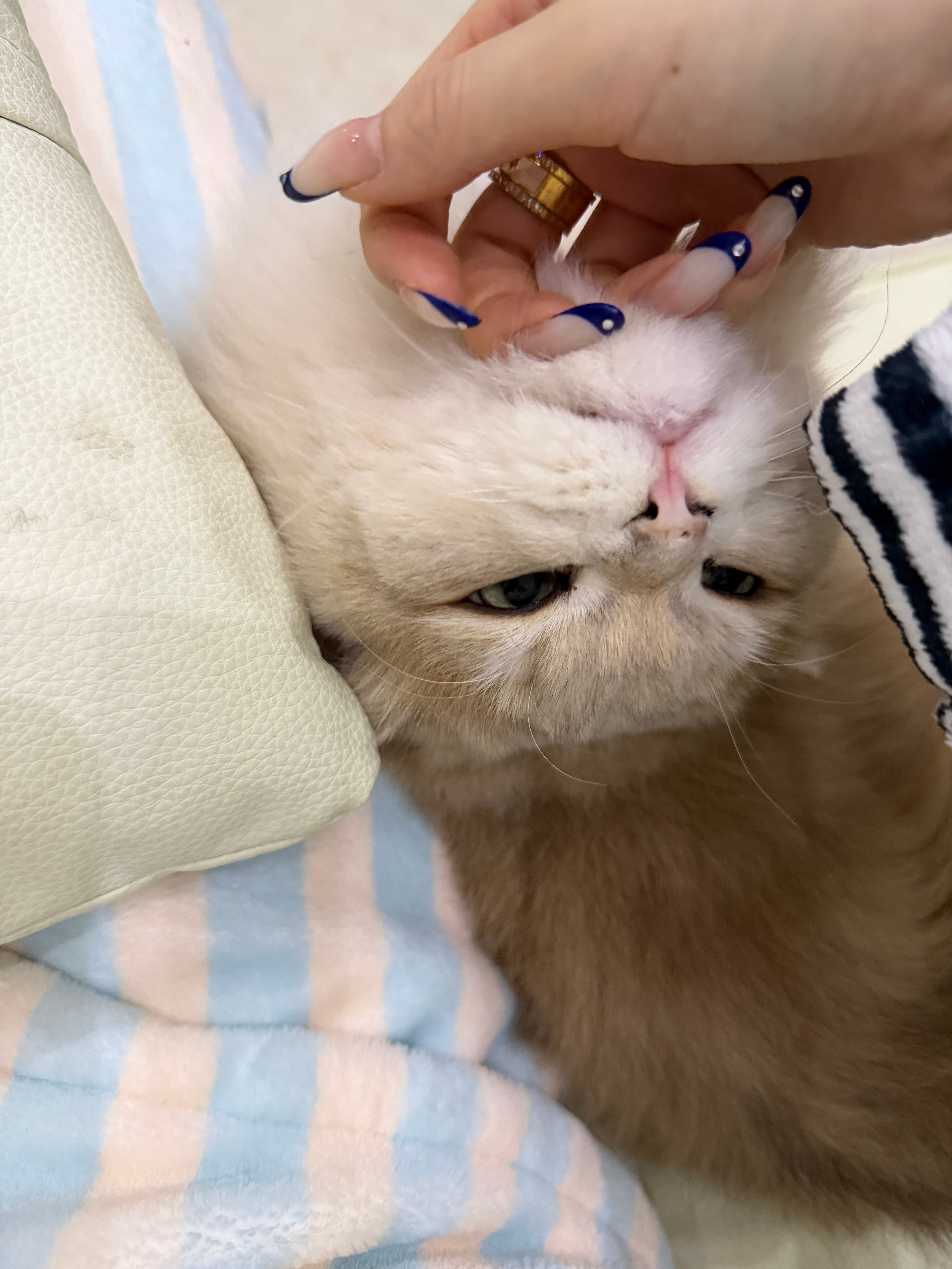 拍的不好没关系 没有记录下来才可惜爱你老己2026