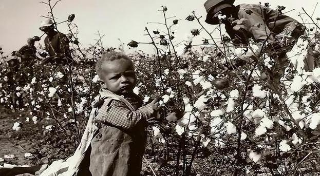 1626年后，有50万名黑人被卖到美国做黑奴，女黑奴被奴隶主性侵后，生下的孩子也