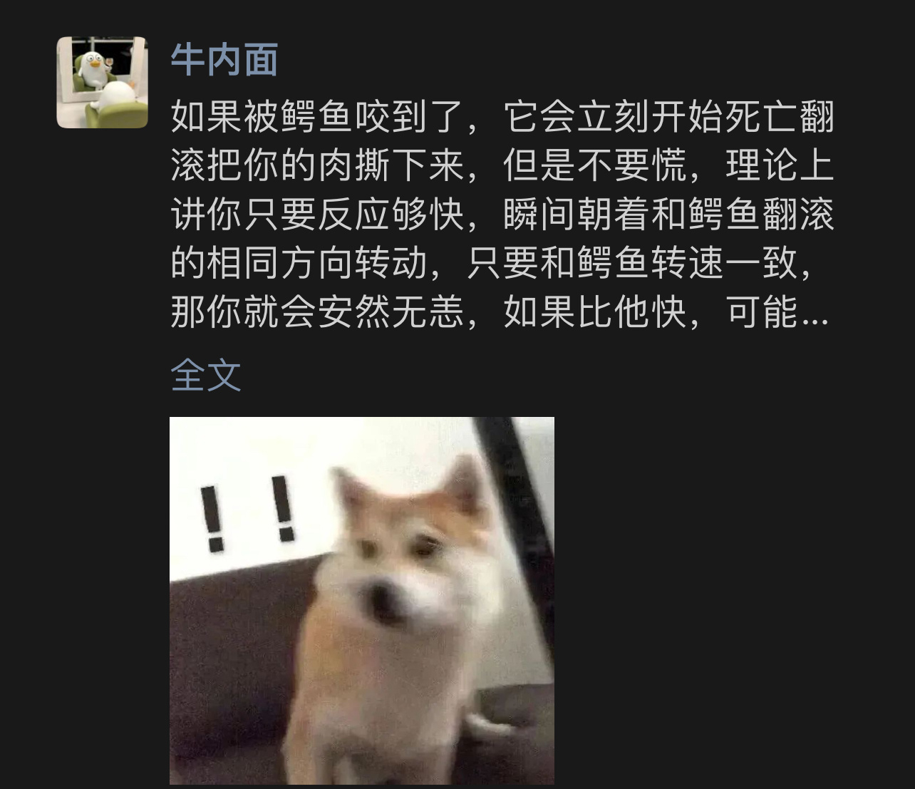被鳄鱼咬到了的正确解决方法 