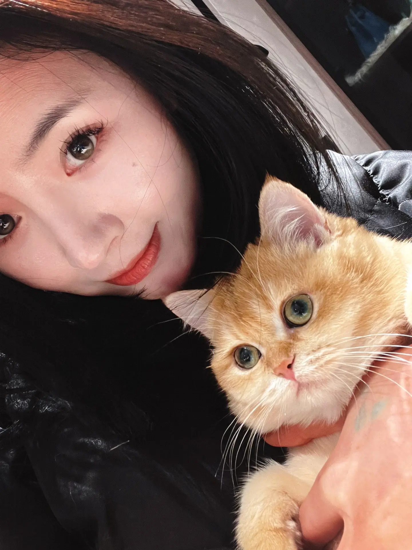 我和我的乖