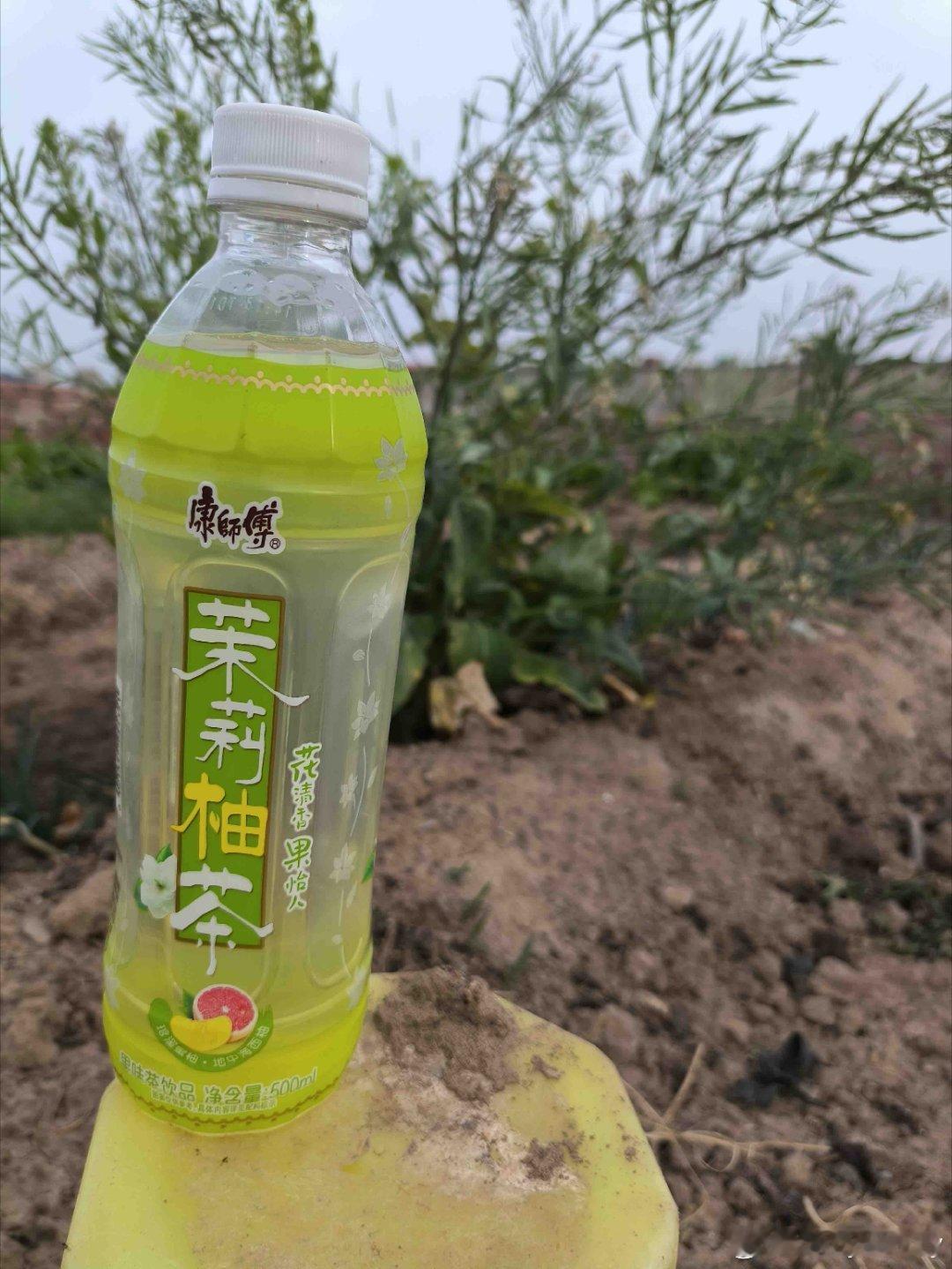 舒淇同款放松茉莉开清香来日子平淡琐碎，更要给自己一份简单的惬意✨常备康师傅茉莉柚