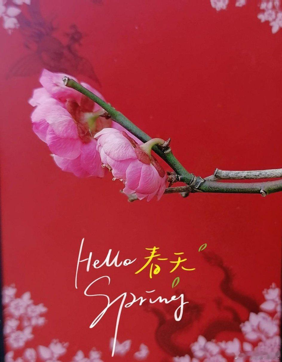 🌸𝐋𝐢𝐯𝐞◡̈ ᥫᩣ໑ຼ₀₂₄ /₀₃.₂₁ᰔᩚ🌹🌸早晨的第一缕阳
