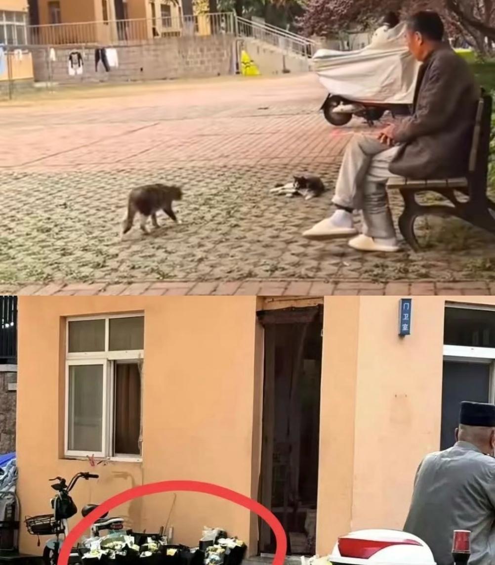 不知道原因是不是因为没空调，
只是为这一句泪目，
前不久大爷捡了一件学生不要的羽