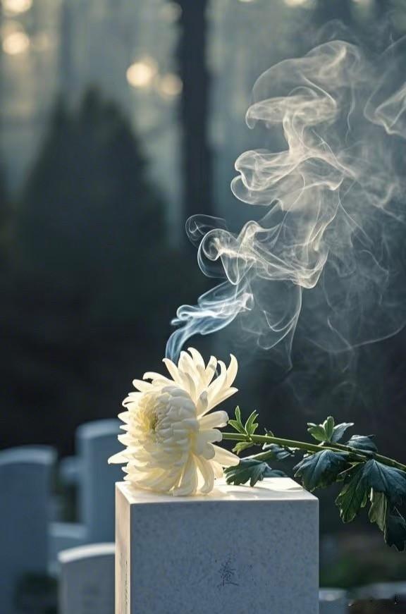 老人非要土葬，叶落归根，但地方条件不允许，子女都支持火葬、公墓，那怎么办才好？