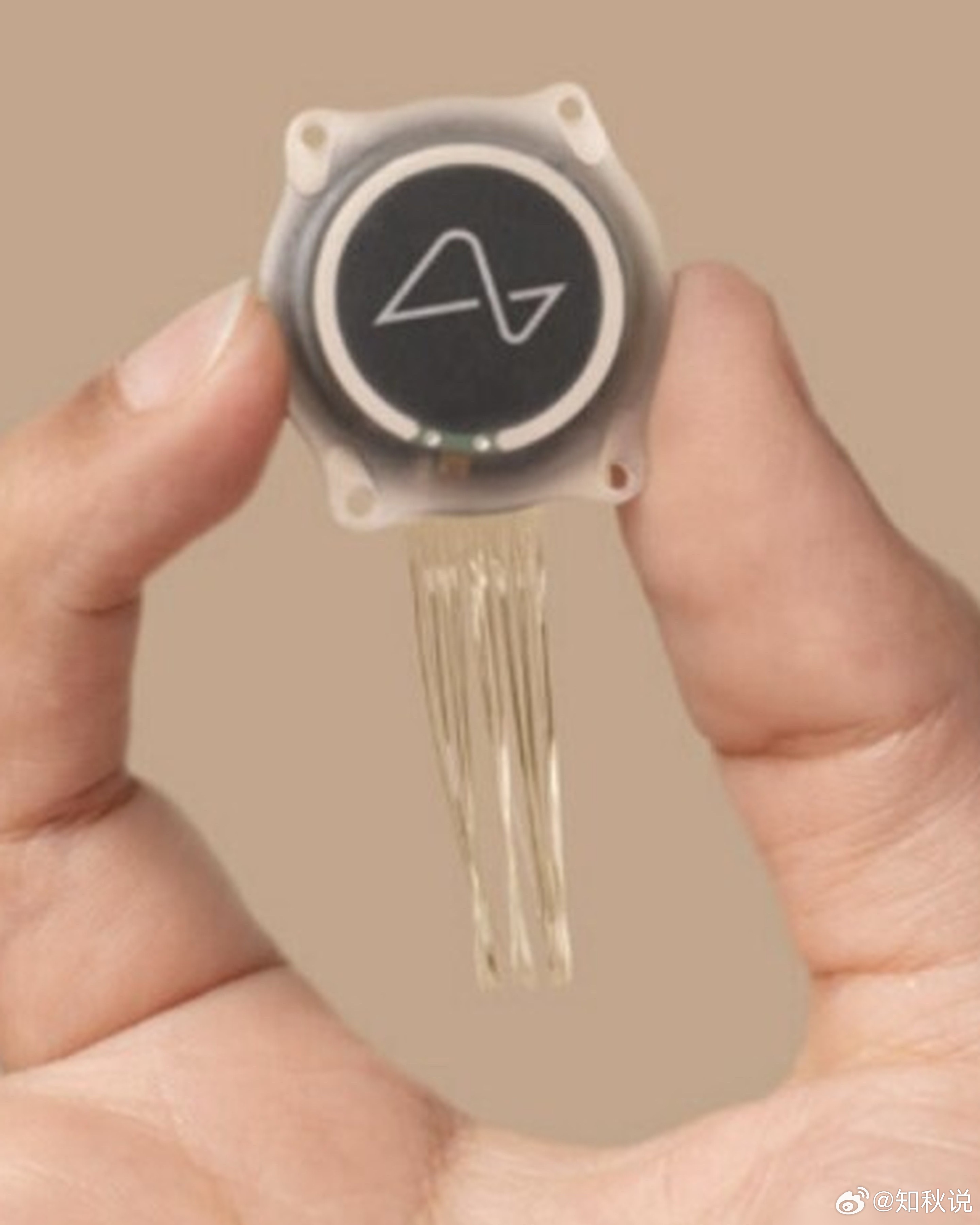 马斯克一句话引爆脑机接口行情 还得是老马一句话把脑机接口板块点燃了，嘴上聊的是N