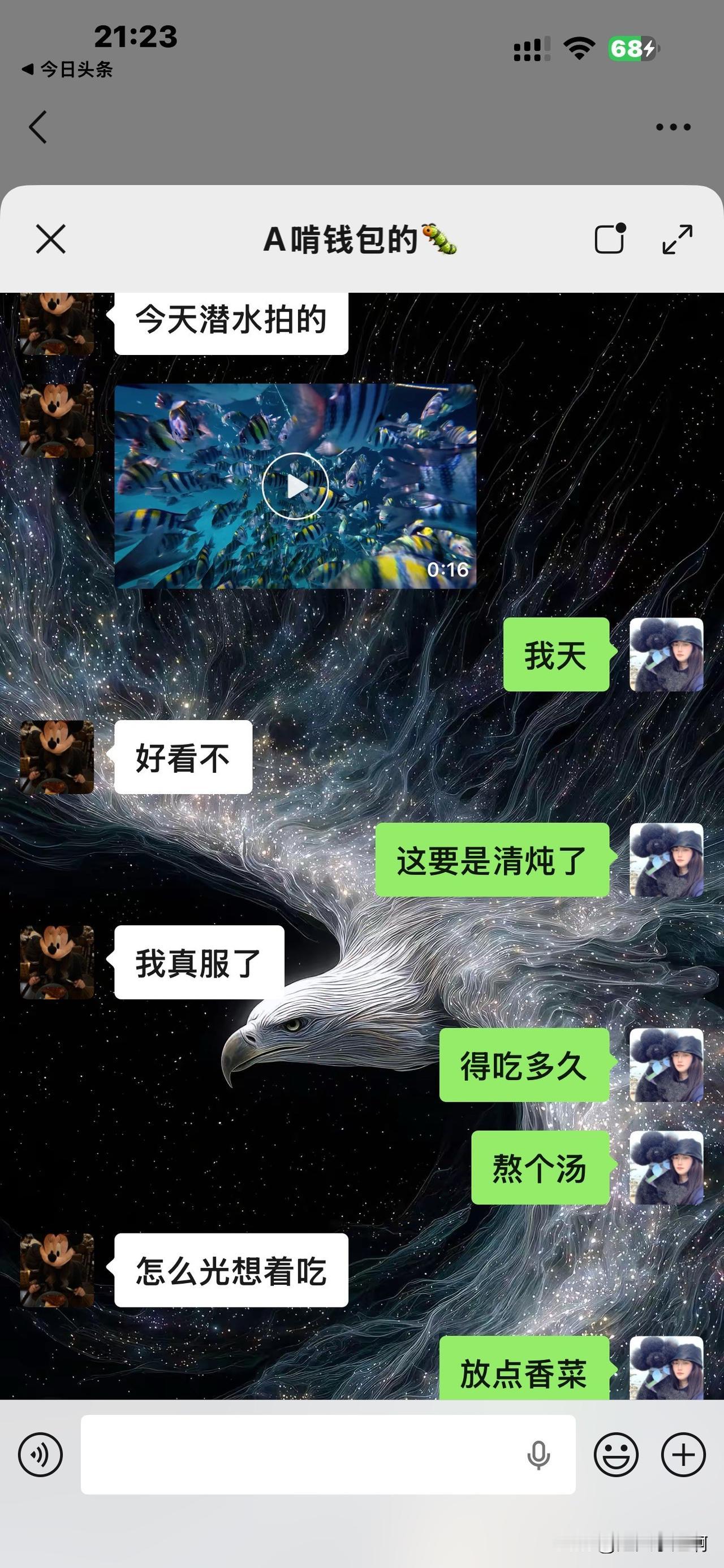 笑死我了。
闺女今天去潜水，上午去的下午七点多刚回来。
给我发了个她潜水的时候海