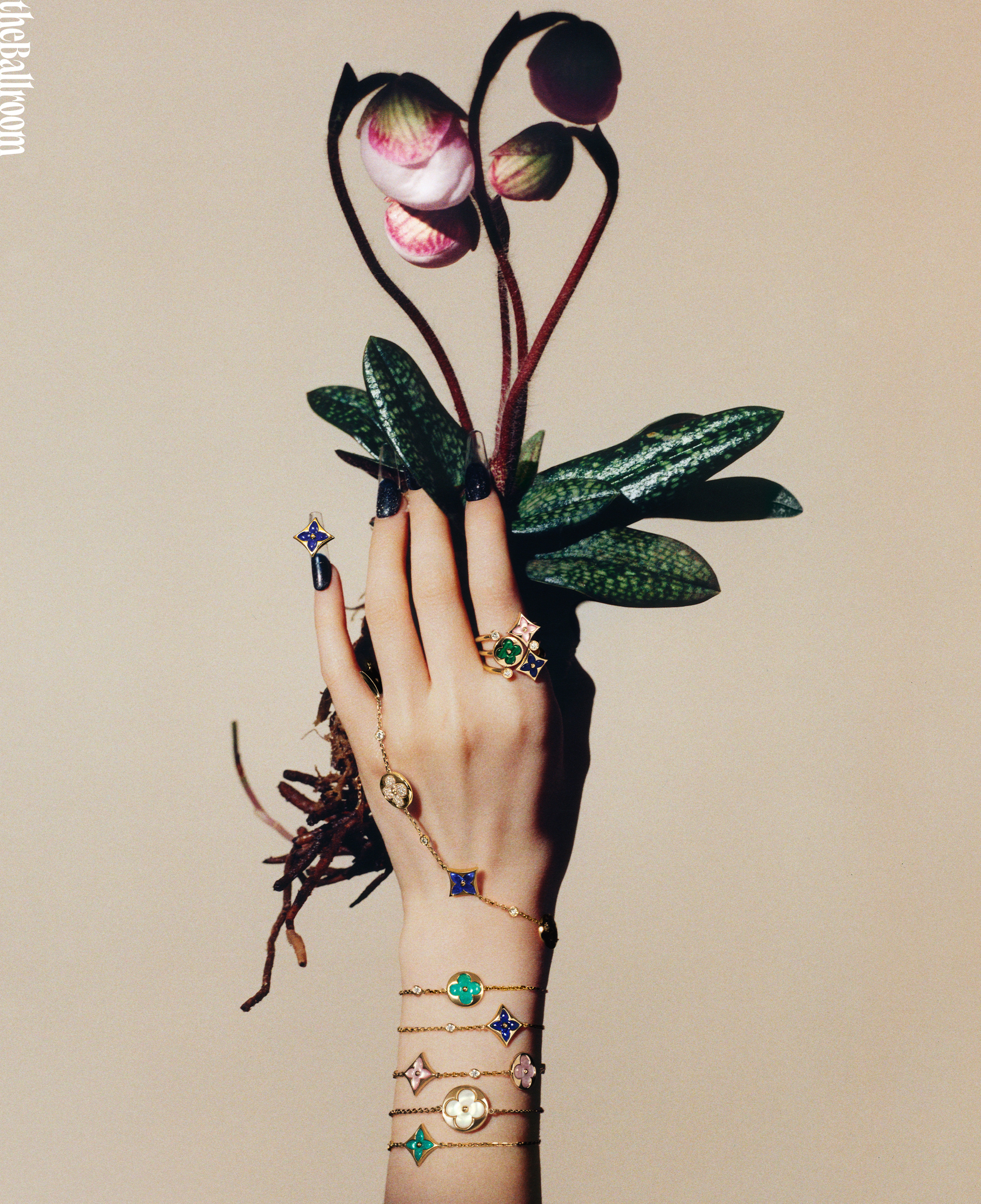 舞格 theBallroom March 2026 theBallroom 一组