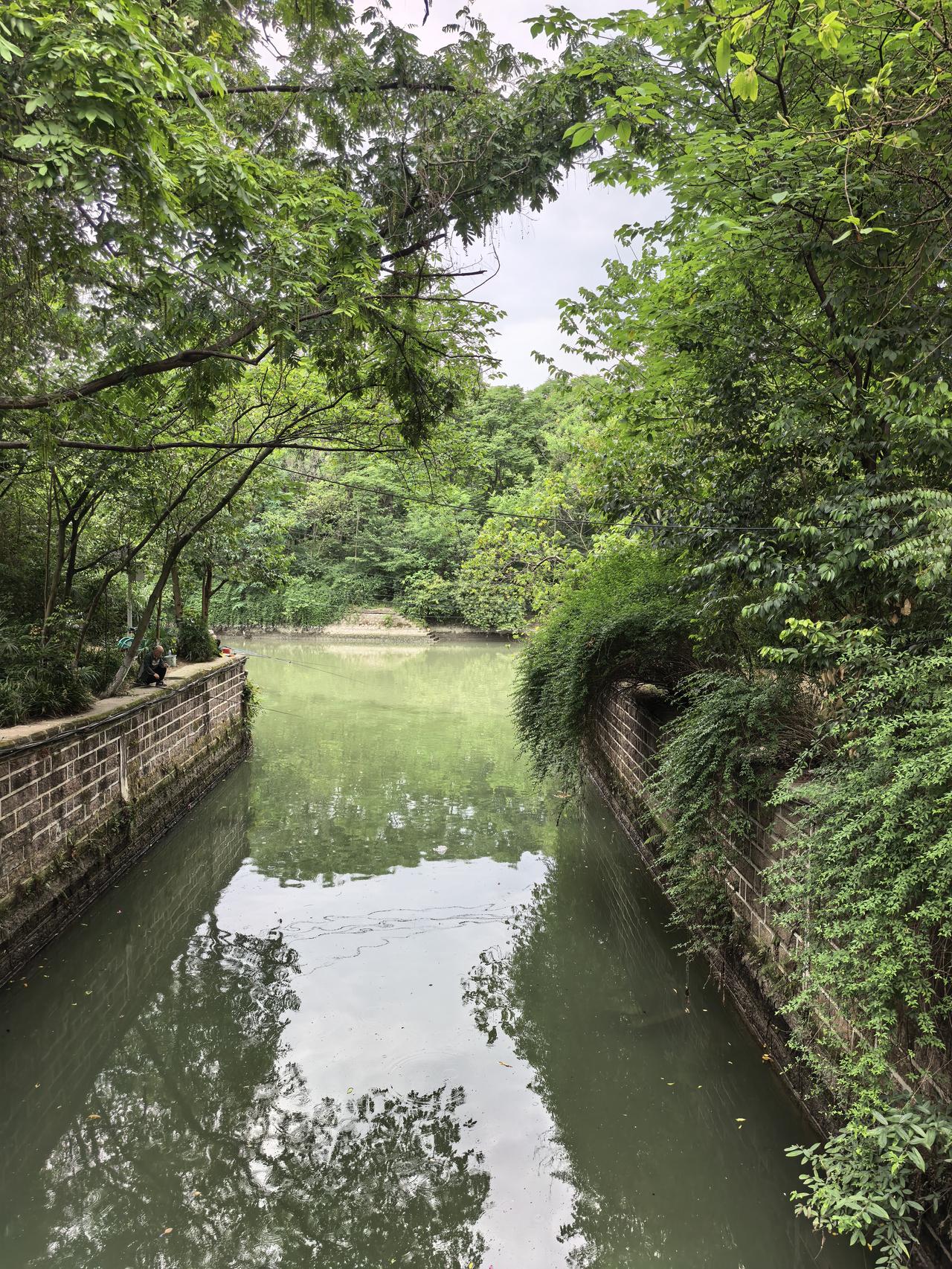 永鼎股份A股今日走势情况及展望

一、今日走势全景

永鼎股份（600105）今
