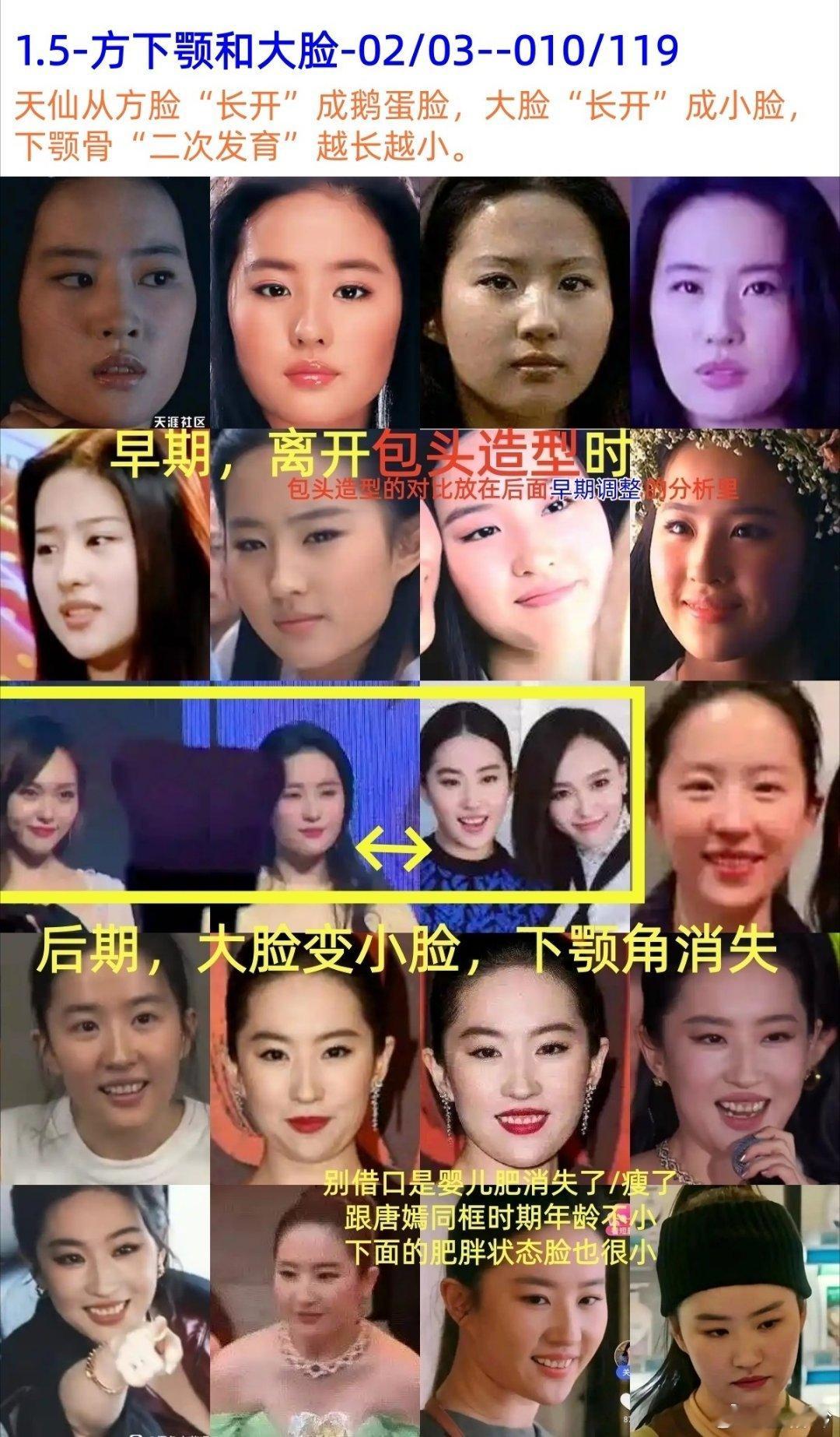 猜猜图中有几个刘Y菲 