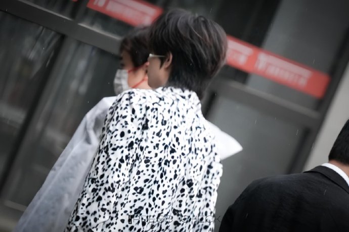 张子墨音综上班了 张子墨牛奶猫皮肤 张子墨音综上班了，张子墨牛奶猫皮肤，满分可爱