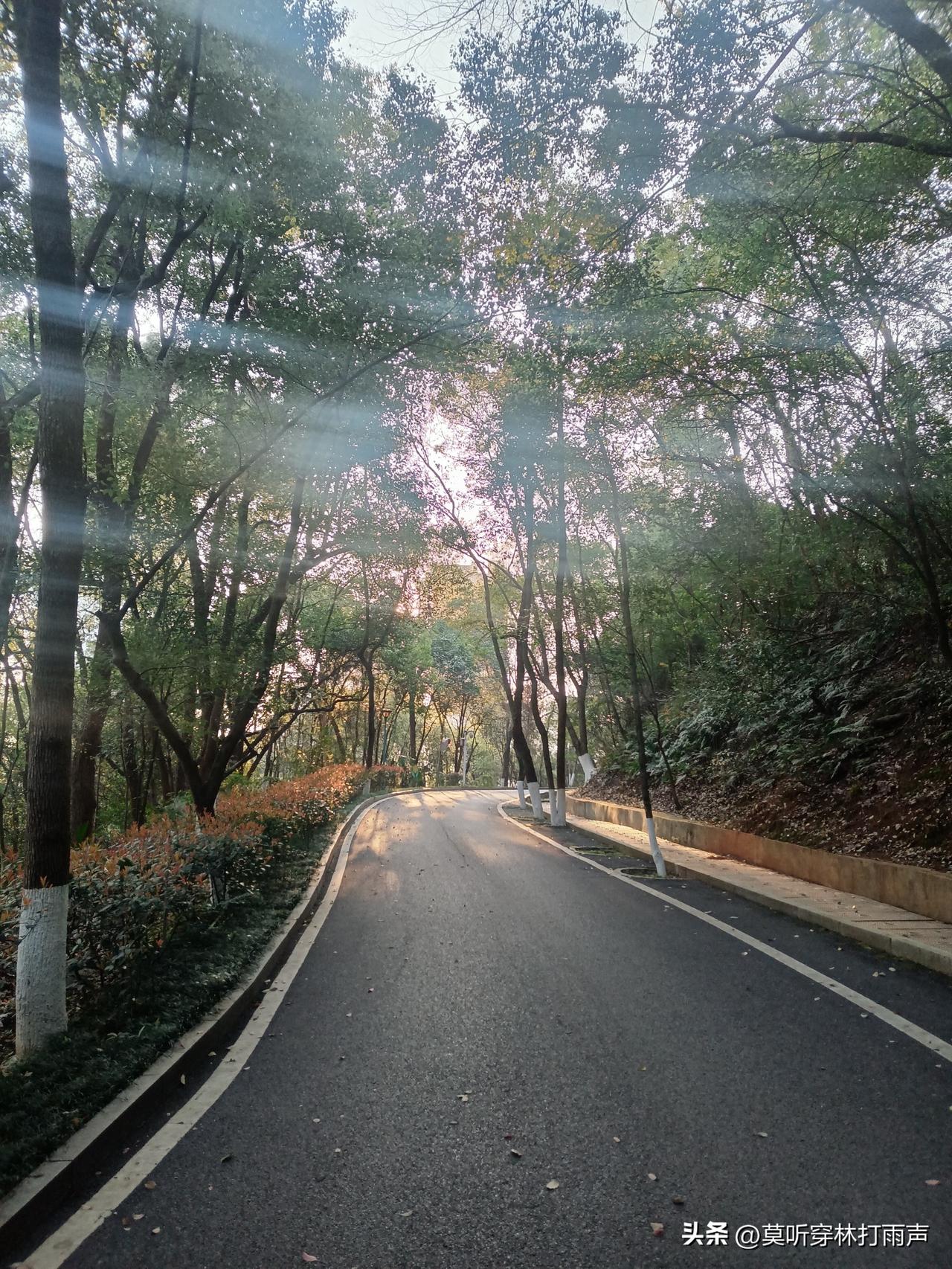 现在的股市，不亏钱就是赚，可真正做到的人少之又少。

我入市32年，感觉到以前炒