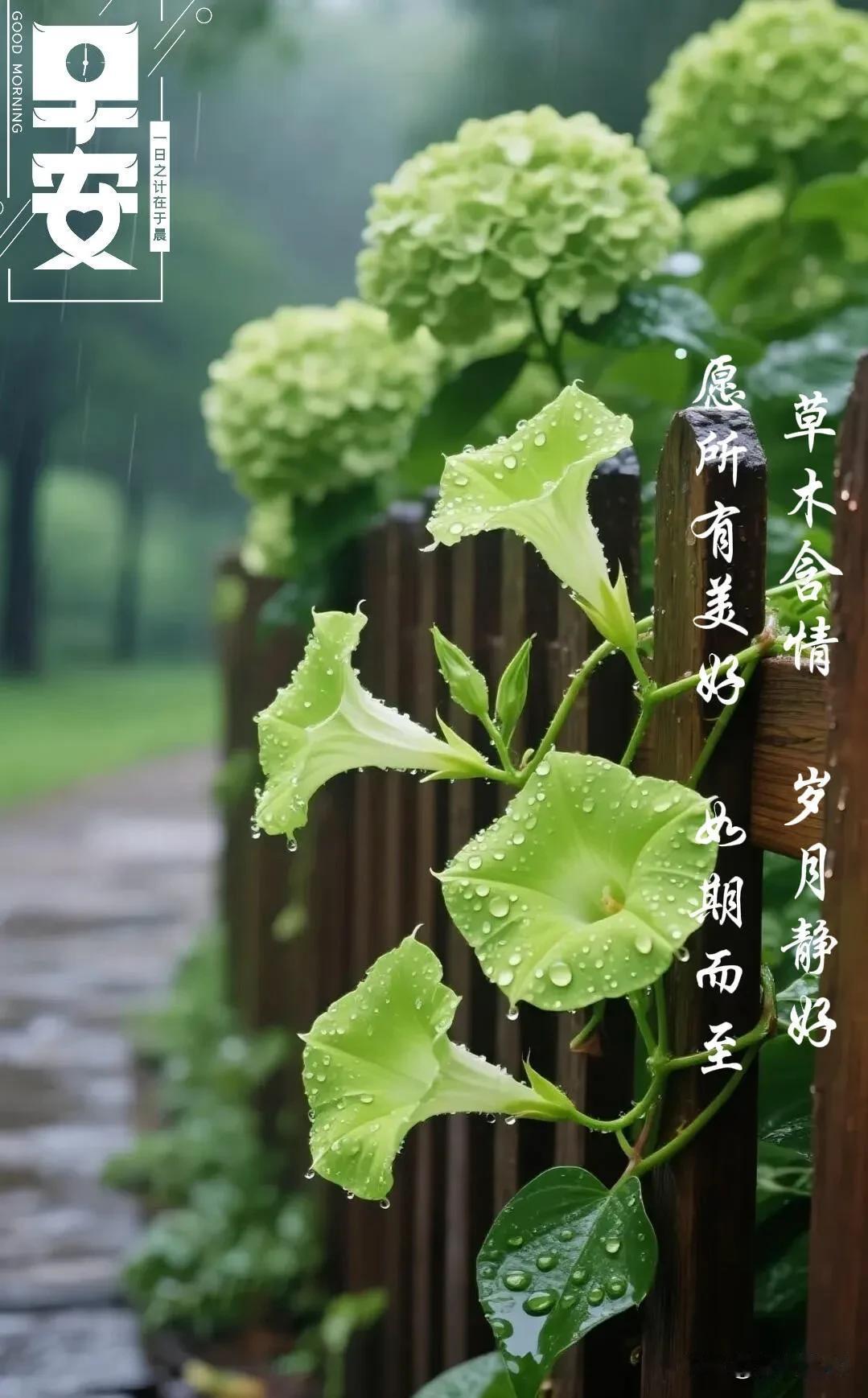 我认为不敢
新的一天如约而至，放下烦恼，带着好心情出发吧