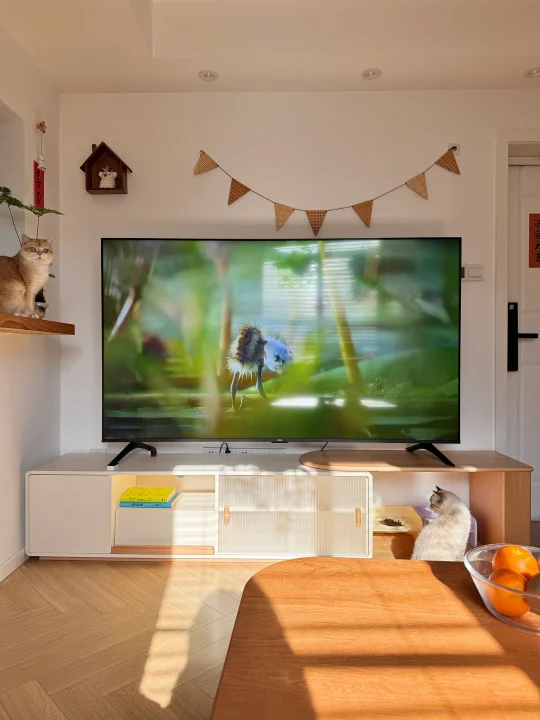 这阳光，花了15W，值么？