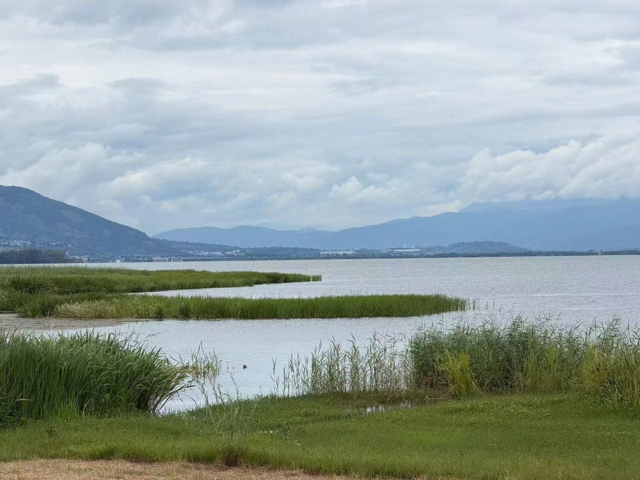 每日洱海
分享这个夏日的美好瞬间