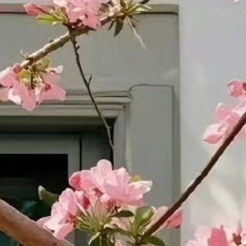 阳光信用阳光信用 ‎每日一善 我始终坚信，美好会遇见美好，如桃花遇见春风，如小桥