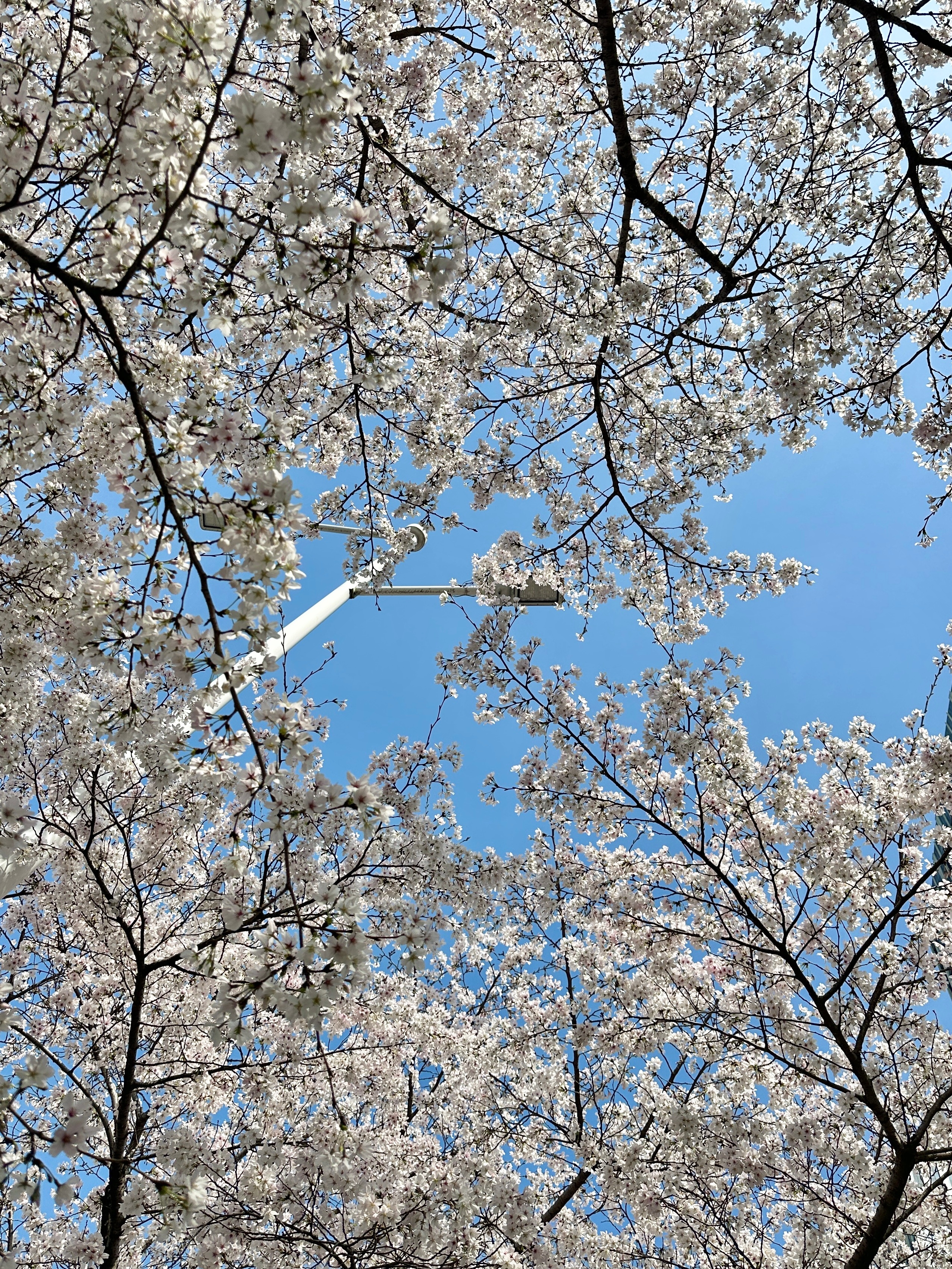 还好 这世界到处都是充电桩 南京