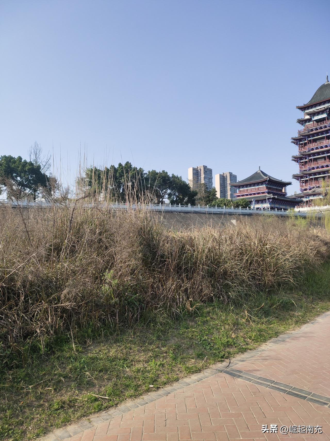 这个公园杂草丛生问题的回复               
 南充市顺庆区住房和城