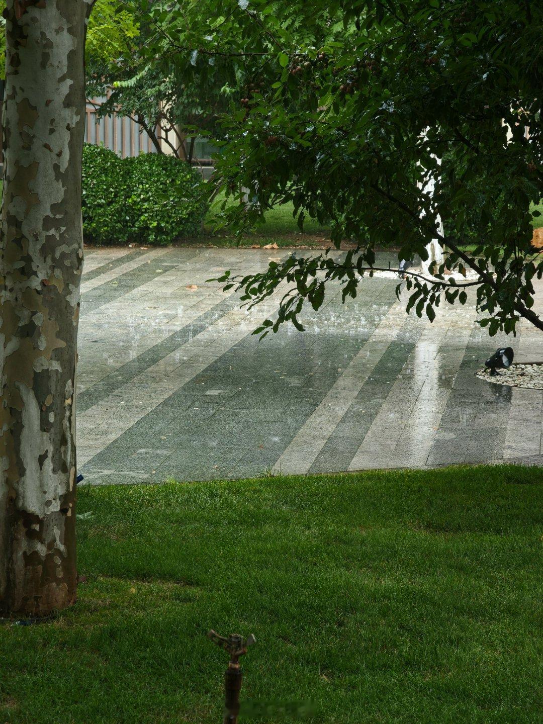 别问我为哈旅游还发微博，因为我在酒店看大雨。[允悲] ​​​
