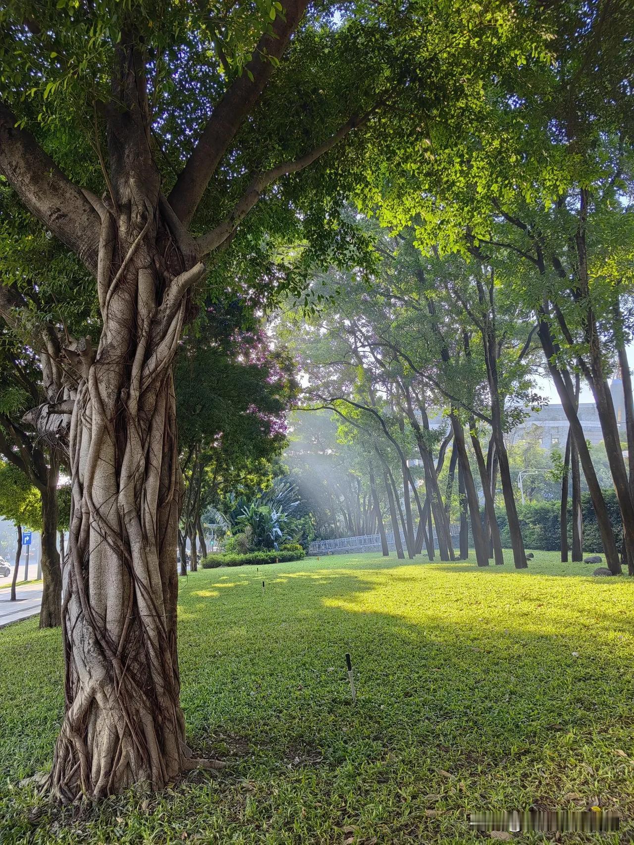 人生平淡无奇是常态，心中有爱眼中有景，乐在其中才算厉害。早上醒来，除了拥抱太阳，