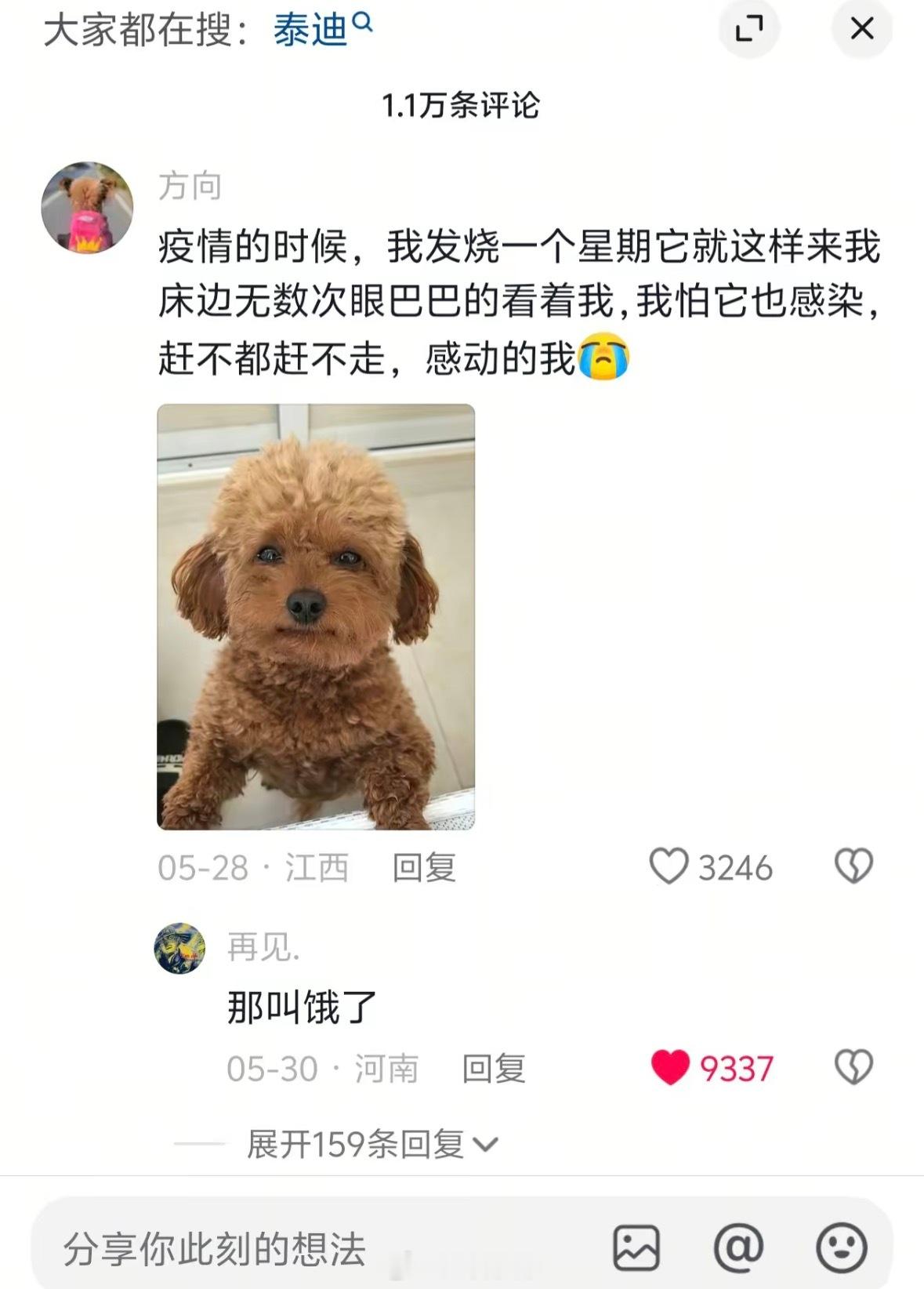 给狗都饿成这样了 还感动呢 