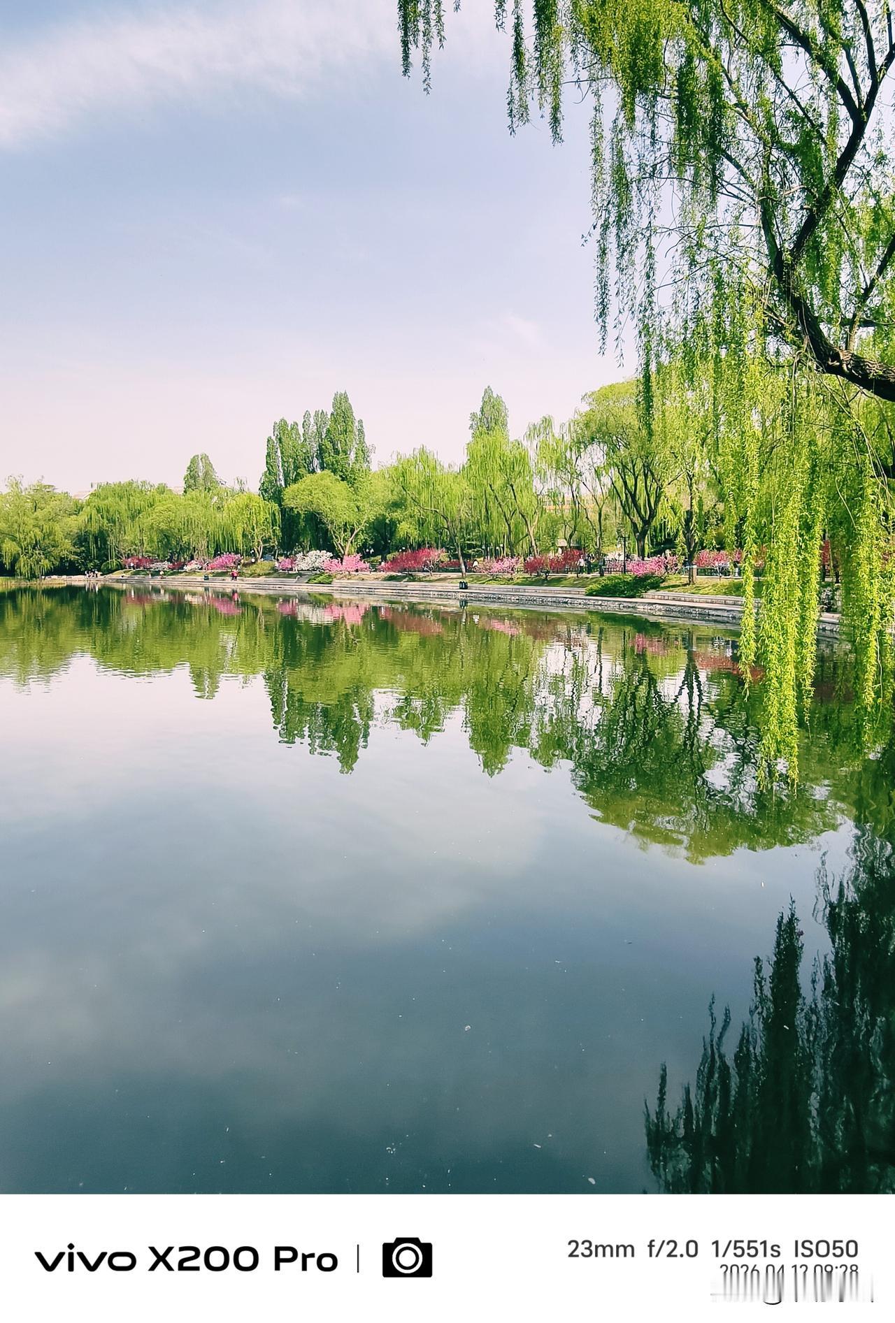四月的北京，花红柳绿，紫竹院公园，绿柳荫荫，随手一拍，满眼绿色，湖光倒影，养眼养