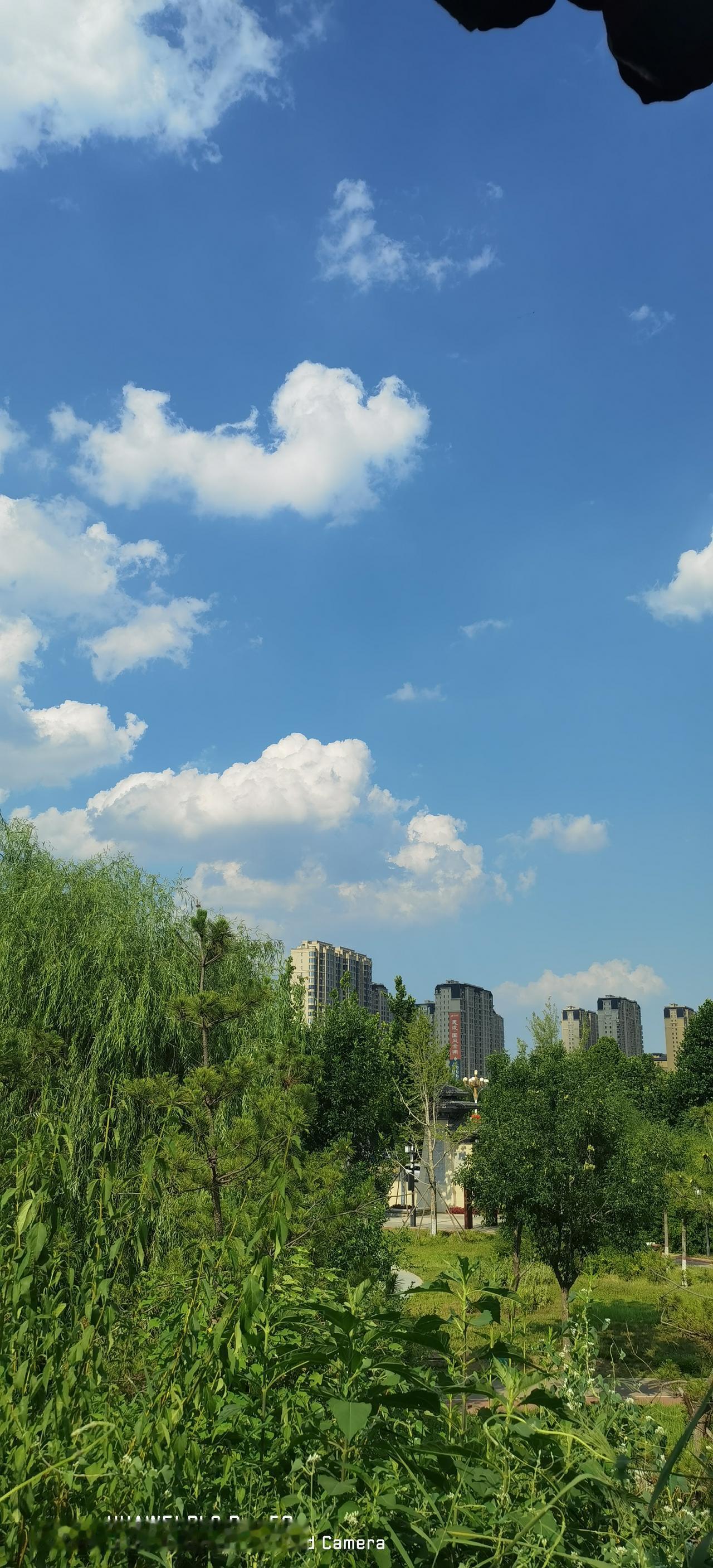 分享事业单位公开招聘信息！

近日，河北轨道运输职业技术学院发布2026年公开选