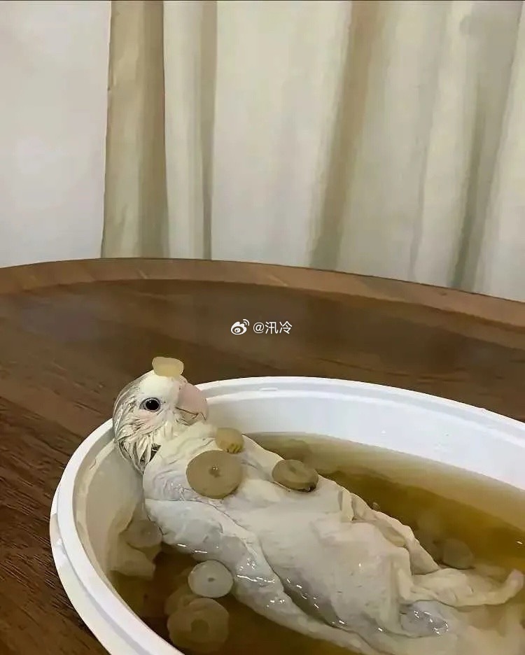 这是跟对人了吧！ 