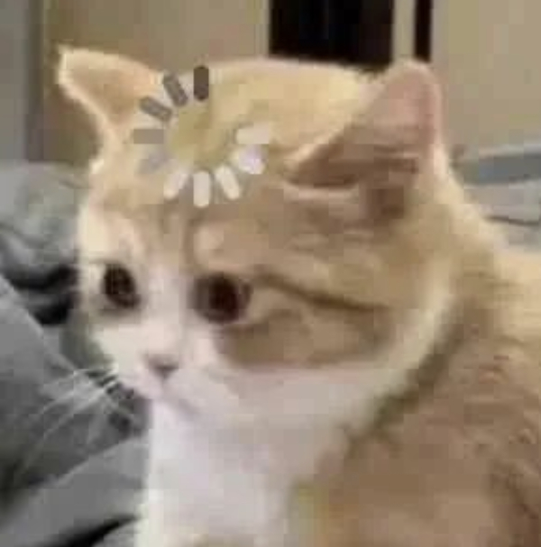 😅姐妹们都去撸铁吧，撸完铁你就会力大无穷...不说了下午去买喷壶和刷子了...