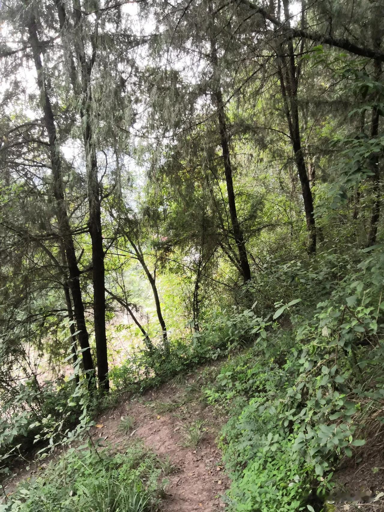 农村不一样，农村的居民，邻居，因为世代都生长生活在农村，看惯了山村的山山水水，比