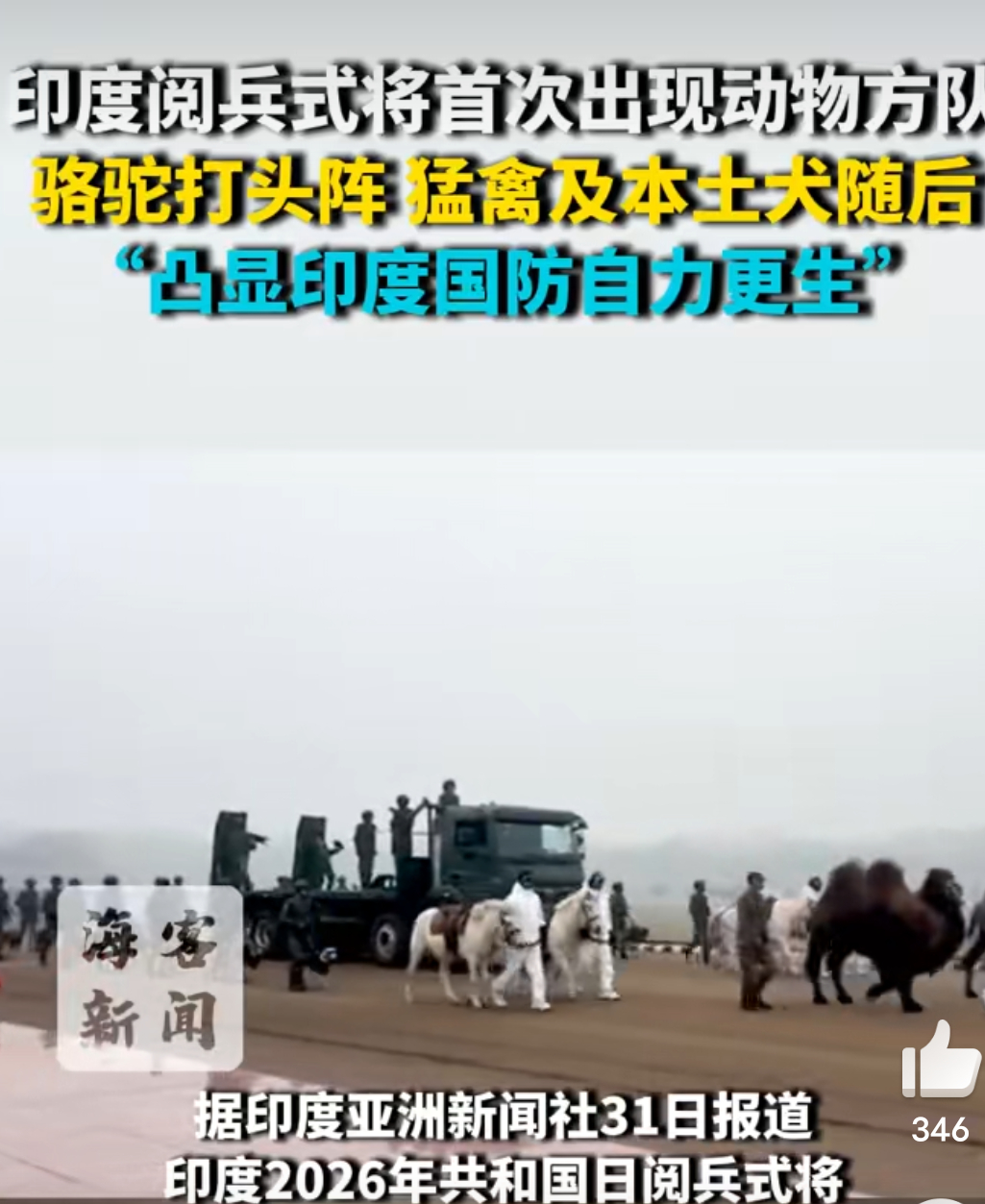 厉害了我三哥，阅兵场上骆驼，猛禽，本土犬，马等齐上阵，不知道以为是高科技呢！印度