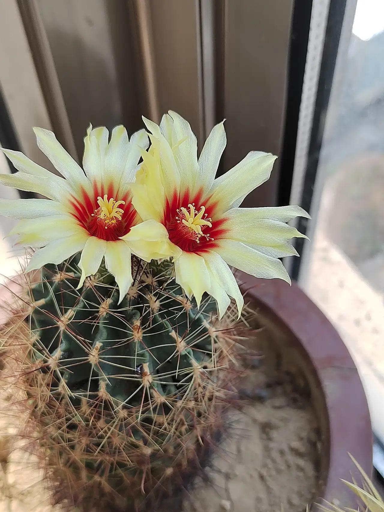 我有个习惯
就是每次洗澡
前面放出来的凉水
我都用来刷马桶
​这样马桶天天都刷一