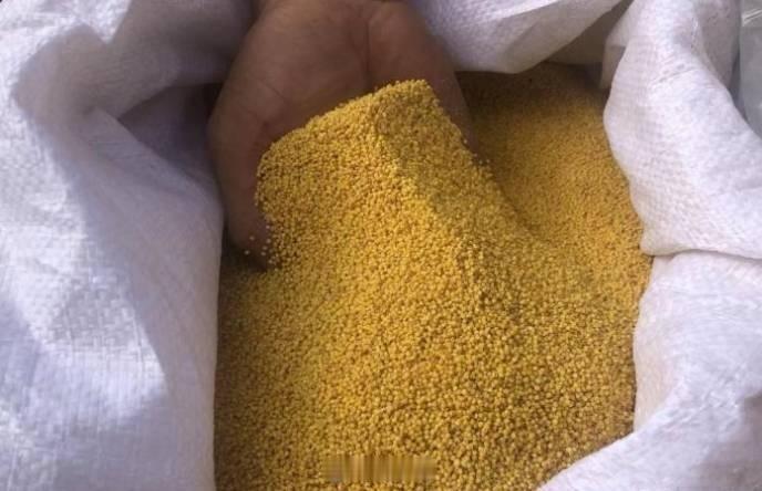 印度宣布小米和高粱为本民族食物，并斥巨资全球推广 ​​​