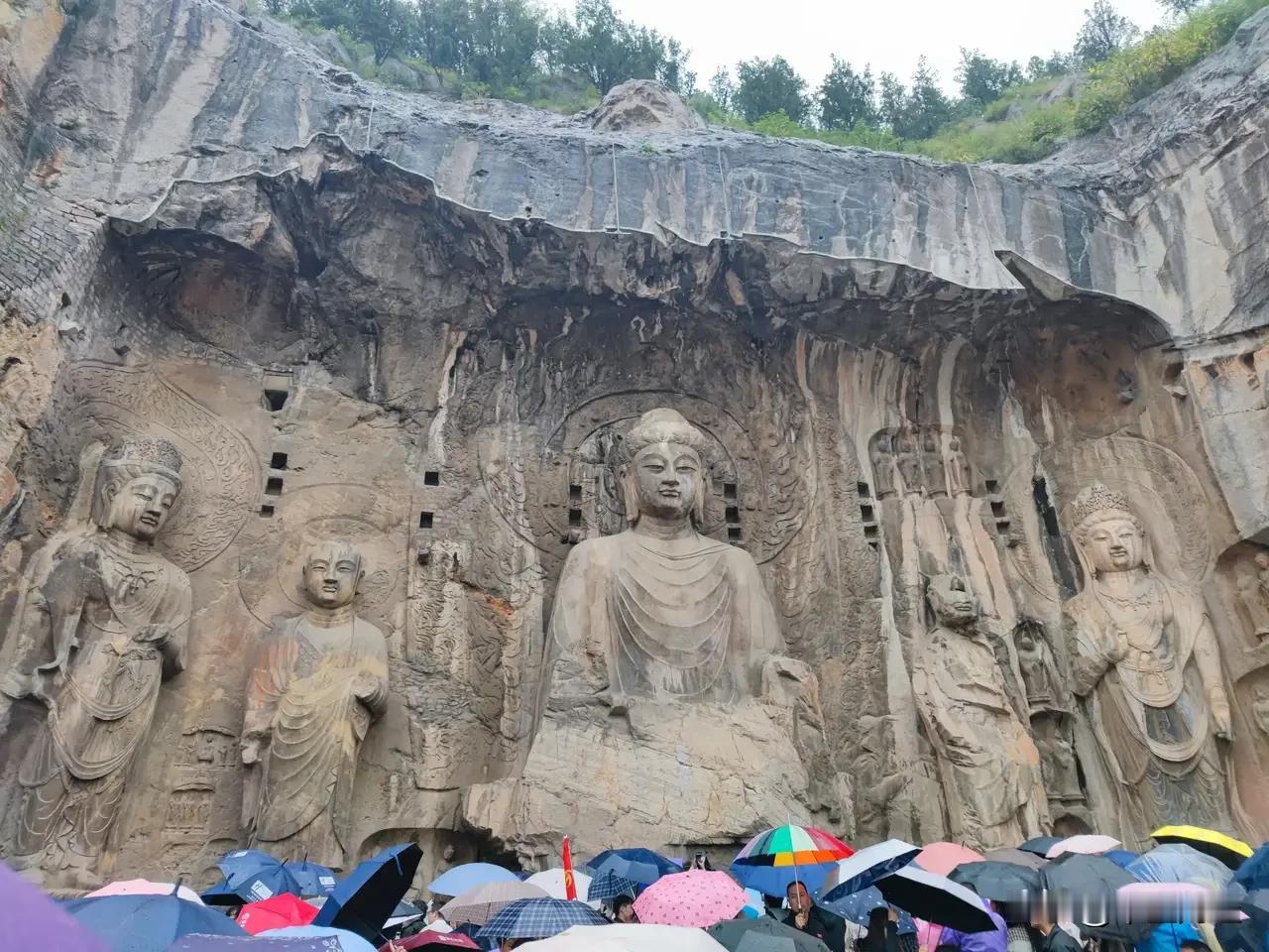 记录我的2026即使春雨绵绵，也挡不住人们到洛阳龙门石窟一观大佛的尊容。