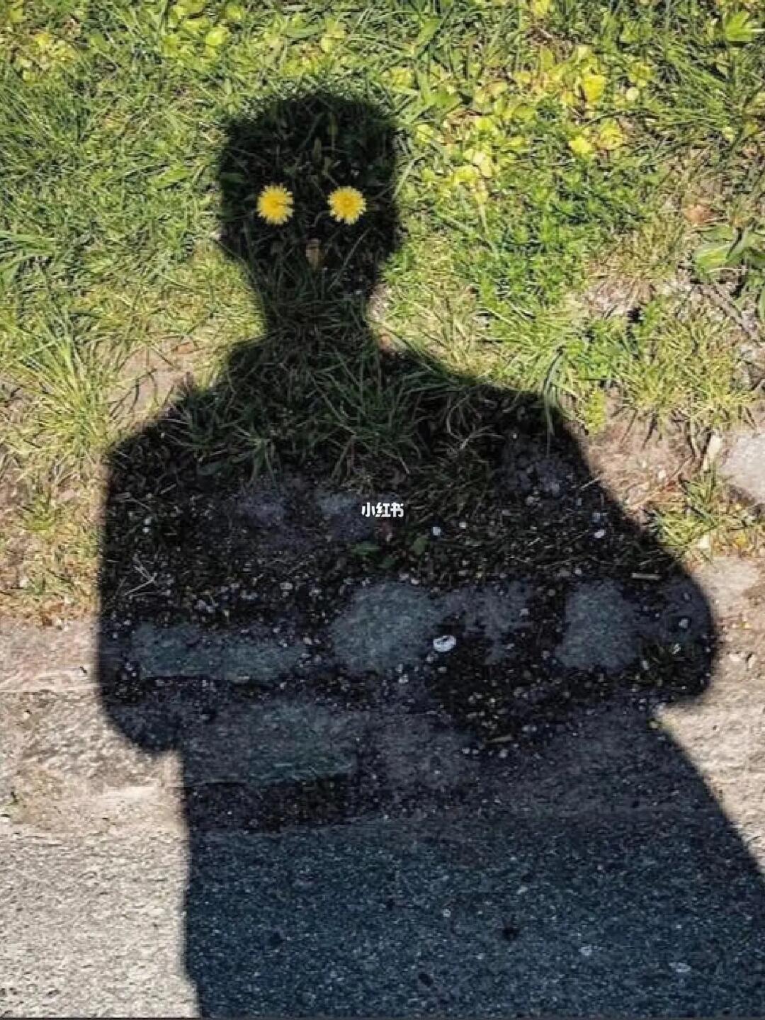 审美提升|每天认识一位摄影大师230