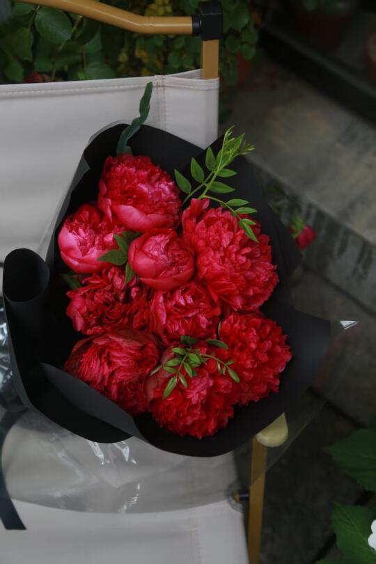 株洲花店/一束红芍药花花💐