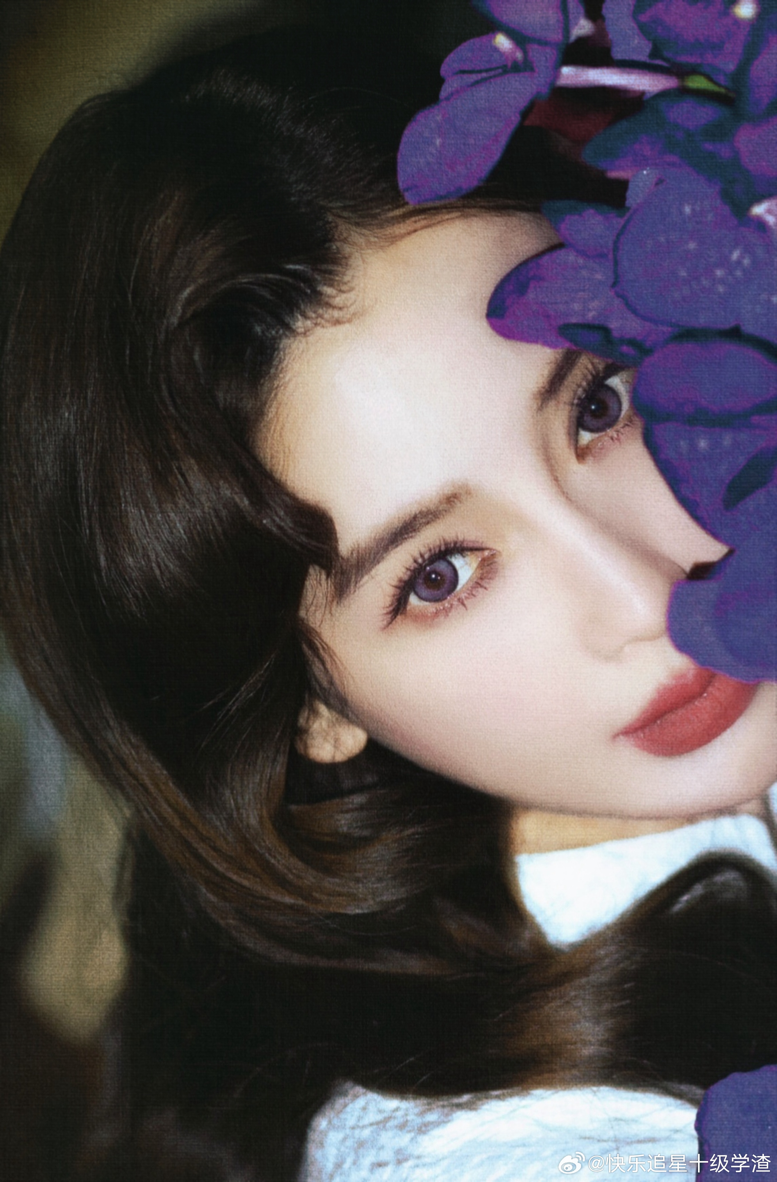 angelababy这组图原来是金白开拍的 