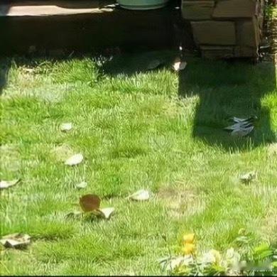 好好去爱，去生活，把所有不快乐留给昨天，把所有努力给今天。允许一切发生，永远别提