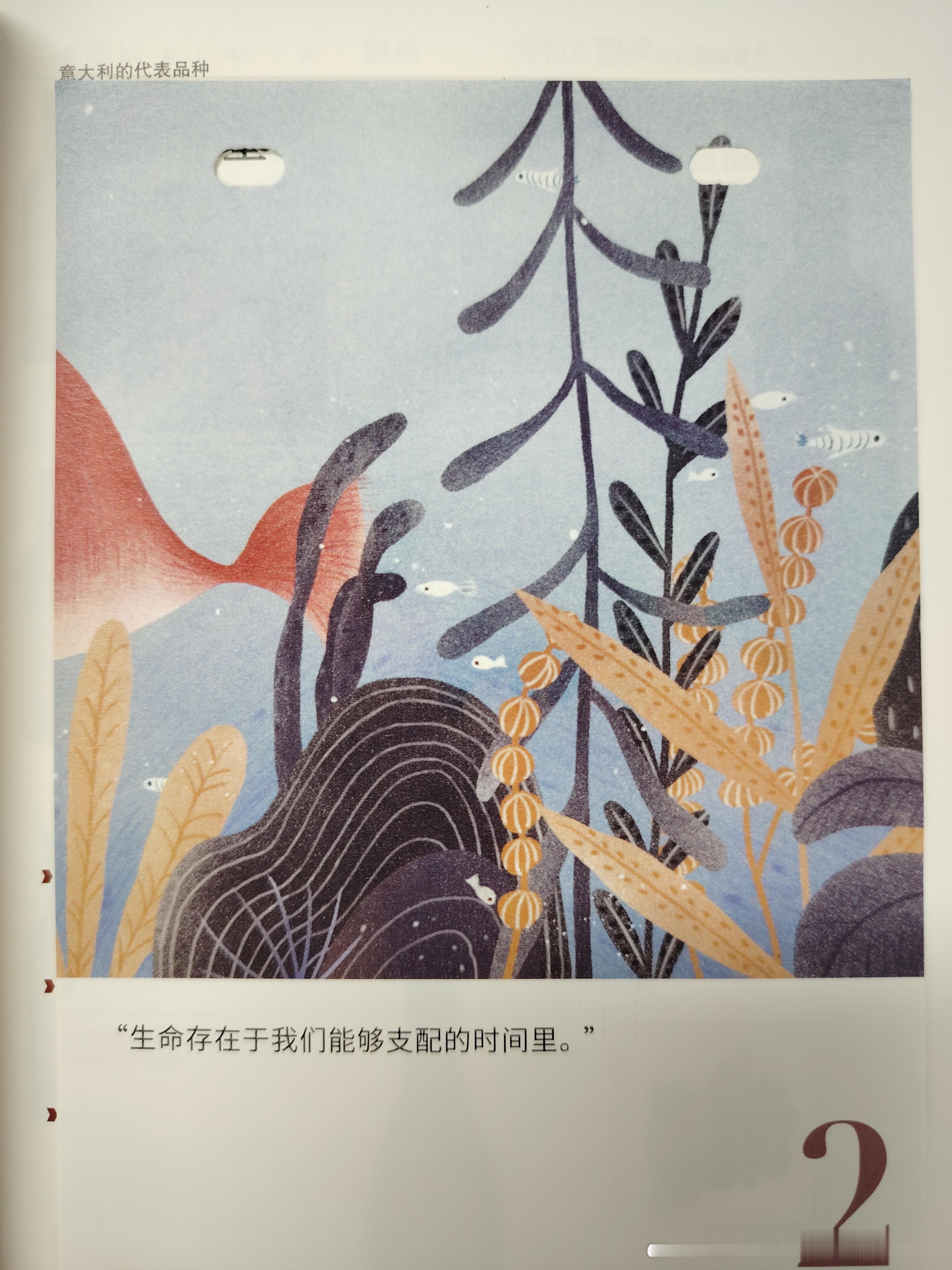 生命存在于我们能支配的时间里 