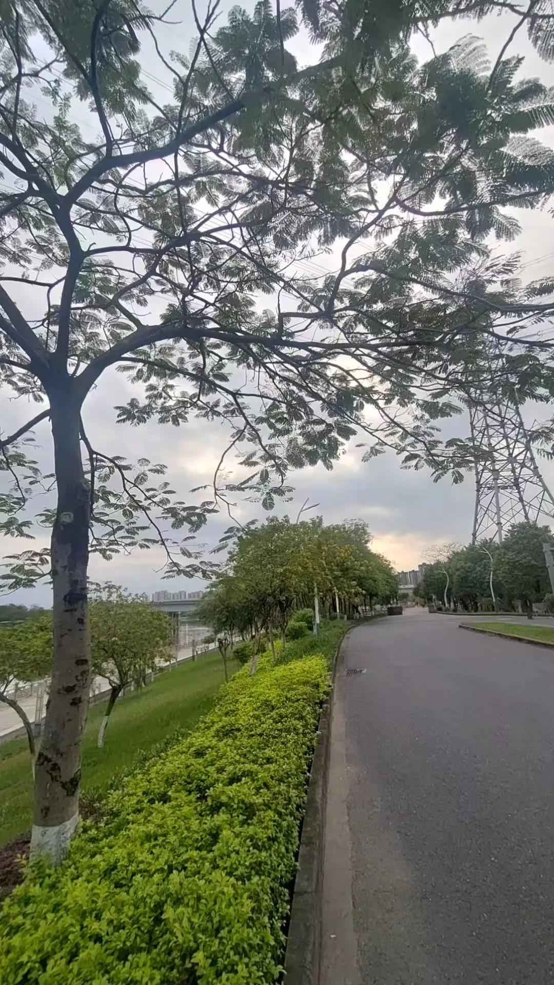 金瓶梅告诉我们一个道理，当官不难，难的是告状，因为告的人往往是当官的自己不想动的