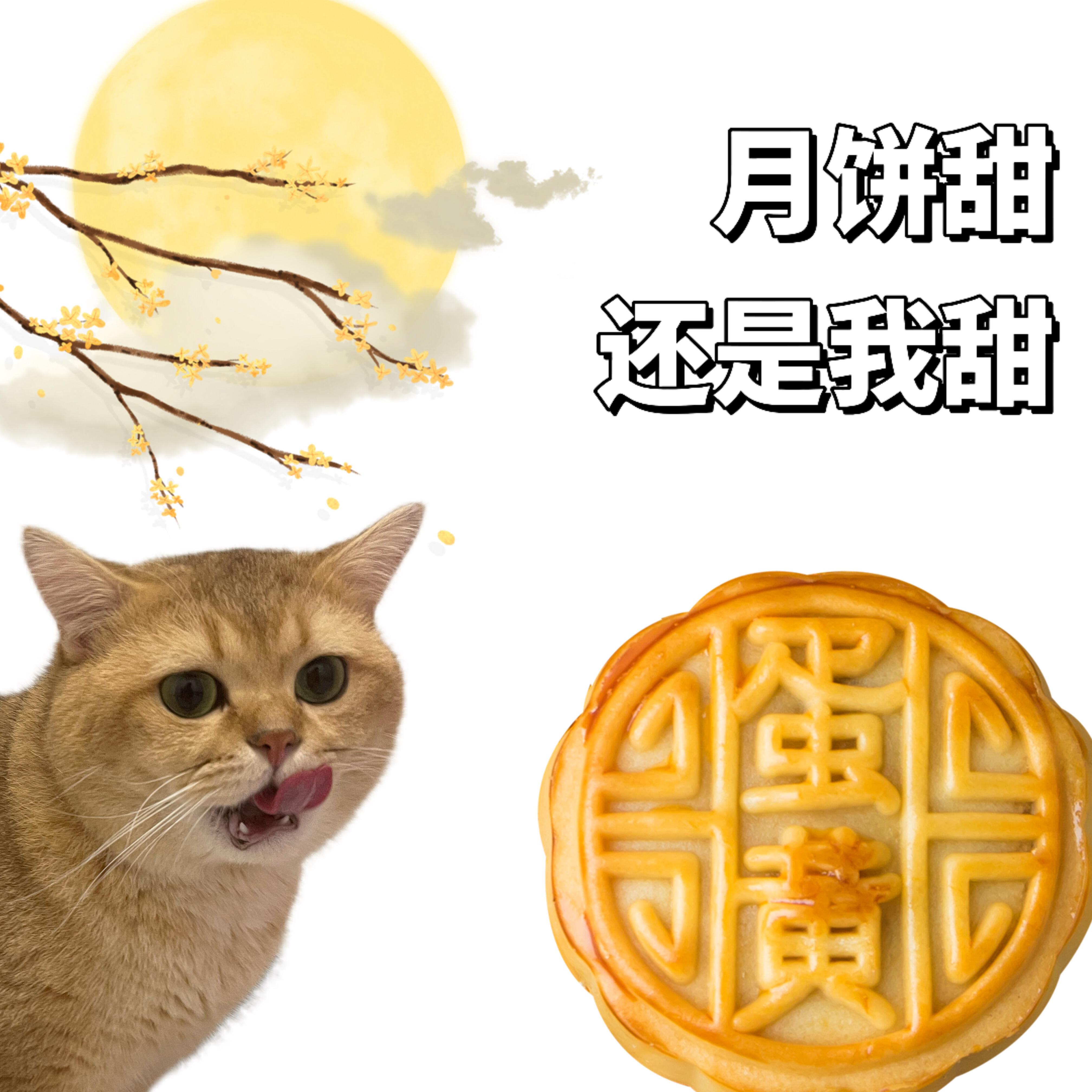 十五的月亮十六元[笑cry]分享生活中的圆满时刻 ​​​