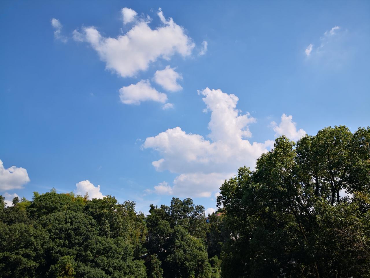 秋天的乡村格外地美丽，湛蓝的天空，白云悠悠成了大自然巧妙绝伦的点缀。