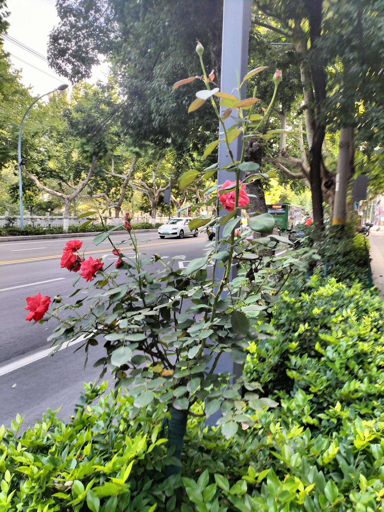 为什么有人喜欢社交？骗吃骗喝，四处占便宜，四处借钱，寻找机会卖东西，寻找机会发财