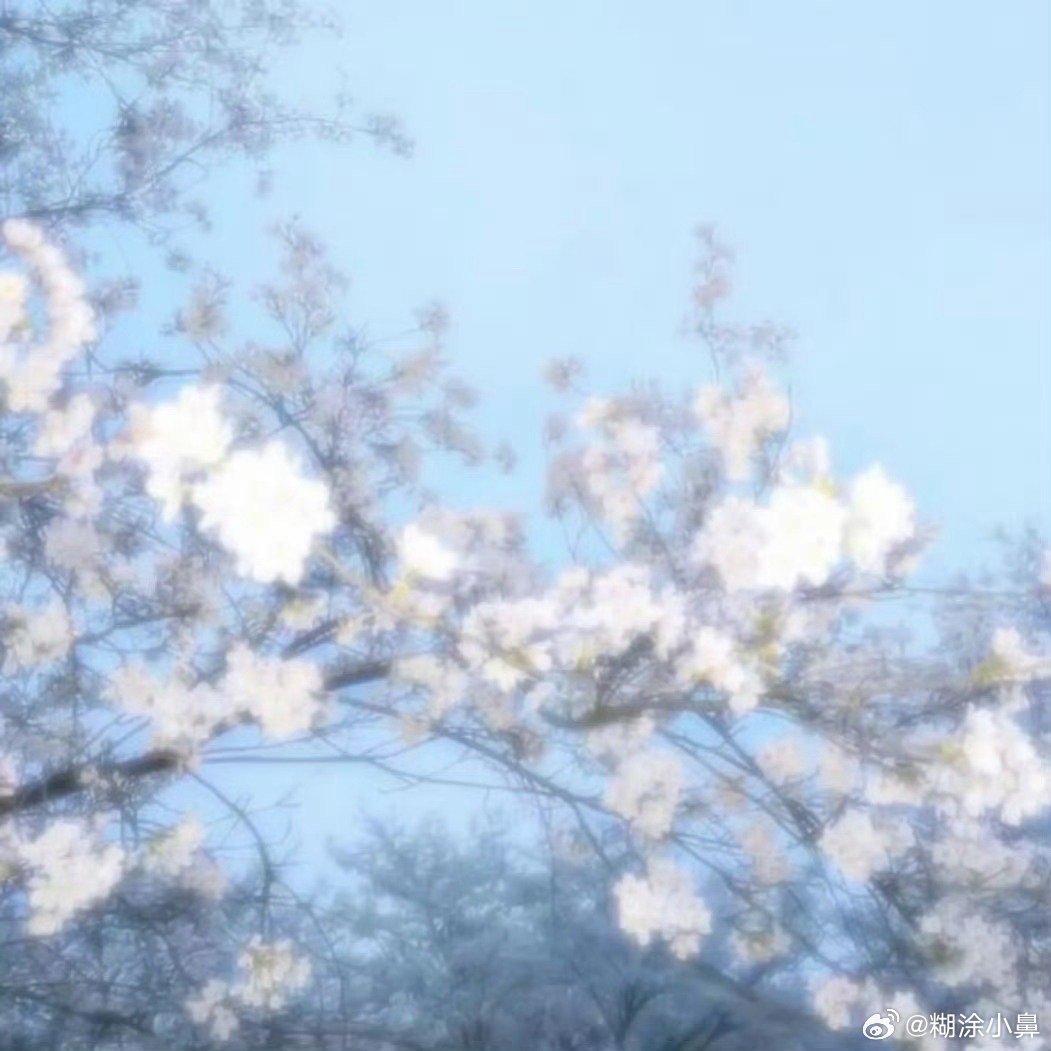 ﹉﹉﹉﹉﹉﹉﹉﹉﹉୨♡୧﹉﹉﹉﹉﹉﹉﹉﹉﹉               陪伴是最